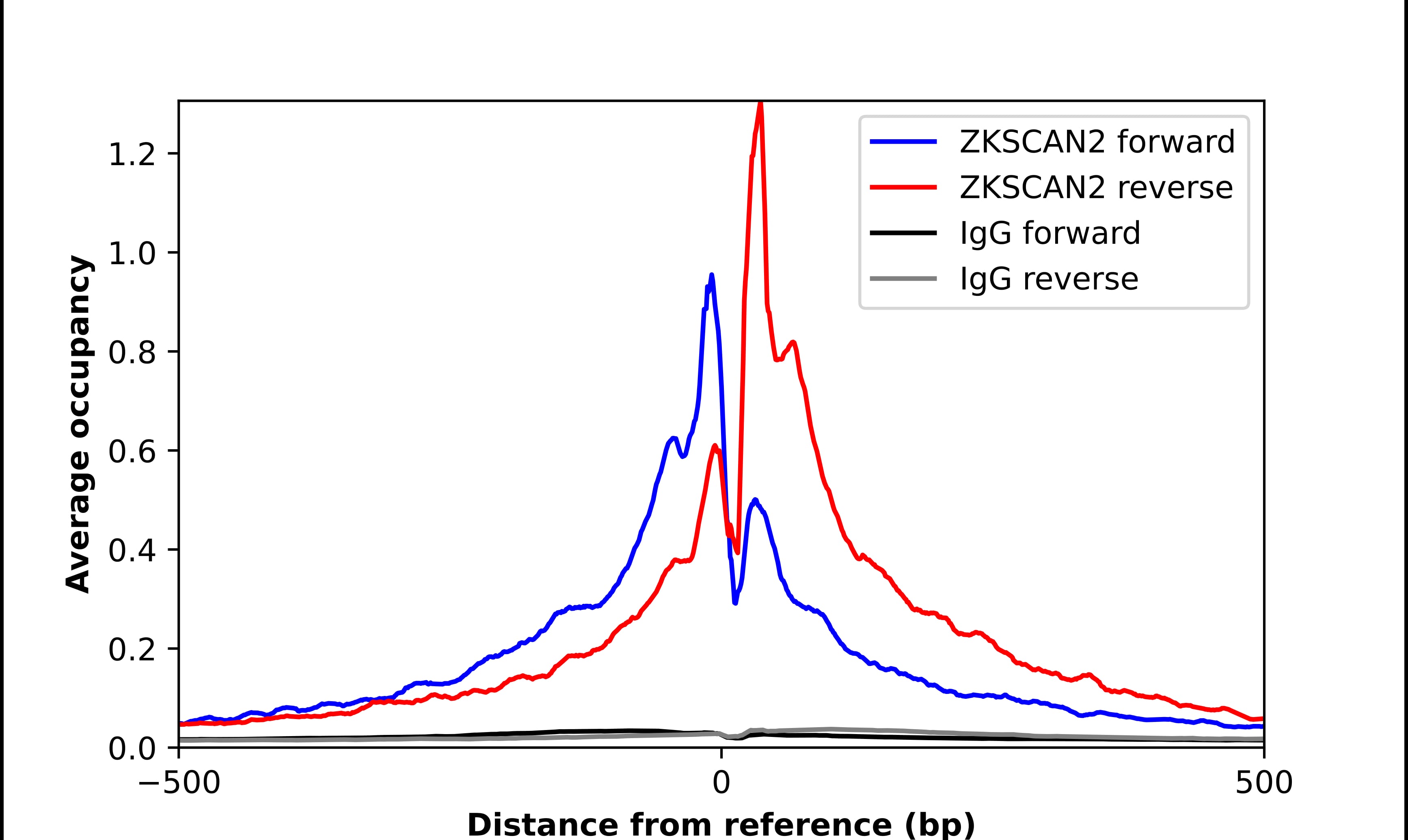ChIP-Exo-Seq composite graph for Anti-ZKSCAN2 (NBP2-13549) tested in K562 cells. Strand-specific reads (blue: forward, red: reverse) and IgG controls (black: forward, grey: reverse) are plotted against the distance from a composite set of reference binding sites. The antibody exhibits robust target enrichment compared to a non-specific IgG control and precisely reveals its structural organization around the binding site. Data generated by Prof. B. F. Pugh´s Lab at Cornell University.
