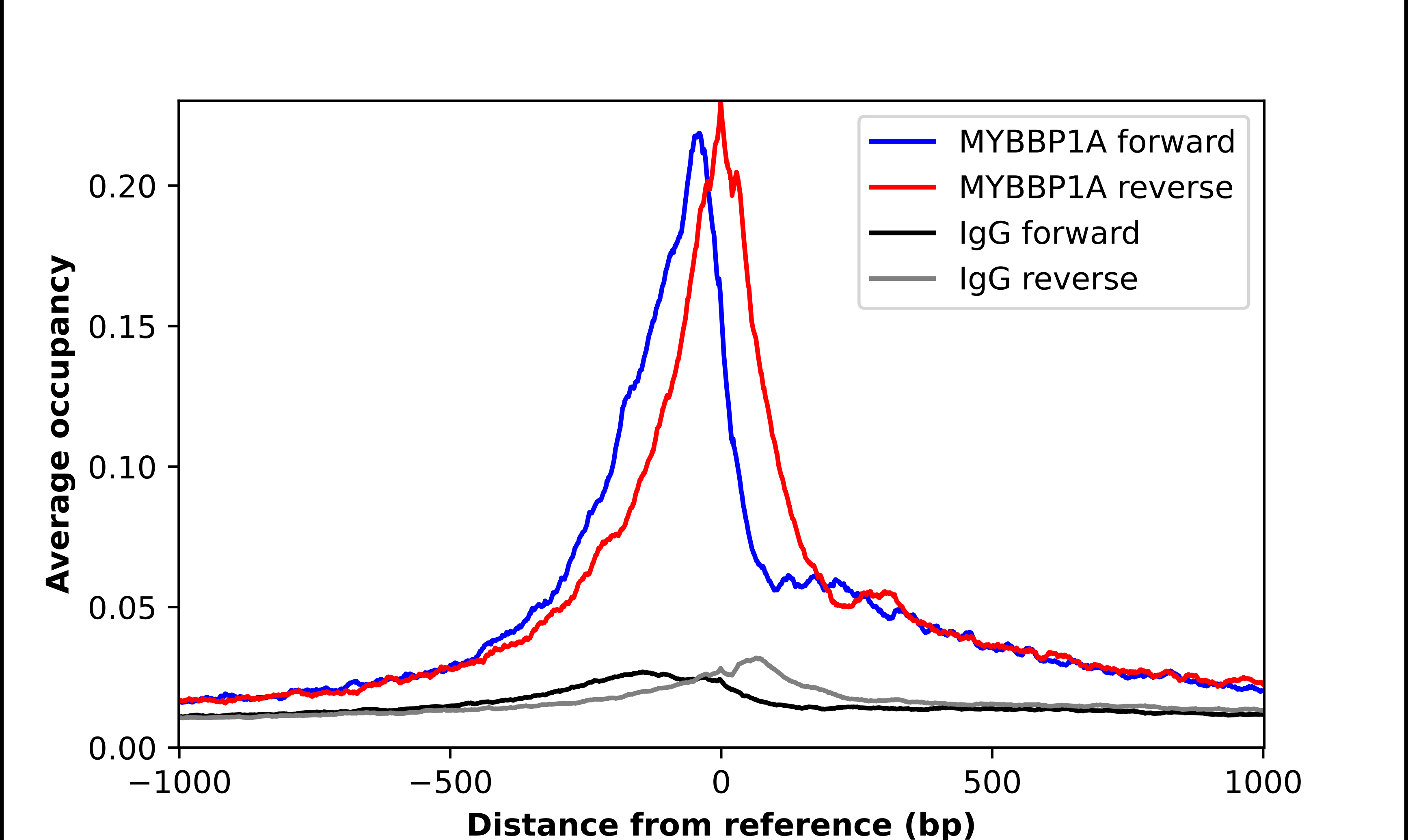ChIP-Exo-Seq composite graph for Anti-MYBBP1A (NBP2-13630) tested in K562 cells. Strand-specific reads (blue: forward, red: reverse) and IgG controls (black: forward, grey: reverse) are plotted against the distance from a composite set of reference binding sites. The antibody exhibits robust target enrichment compared to a non-specific IgG control and precisely reveals its structural organization around the binding site. Data generated by Prof. B. F. Pugh´s Lab at Cornell University.