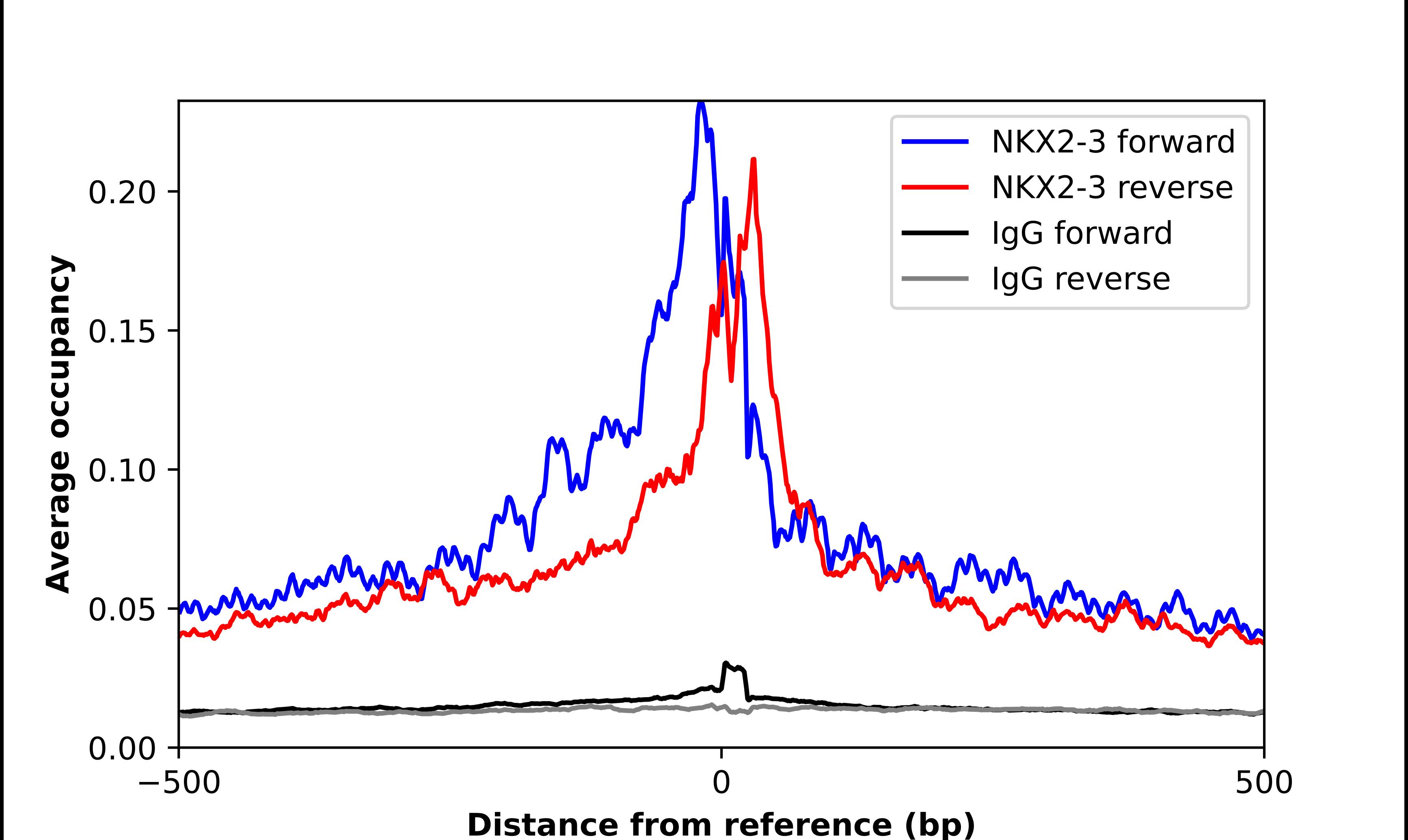 Chromatin Immunoprecipitation NKX2.3 Antibody - BSA Free