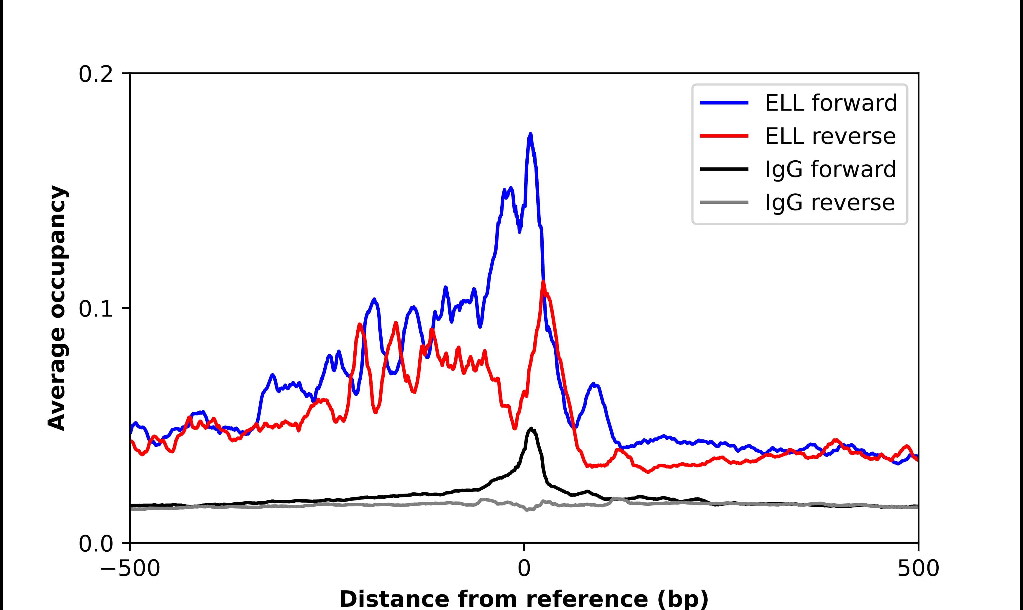 Chromatin Immunoprecipitation ELL Antibody - BSA Free