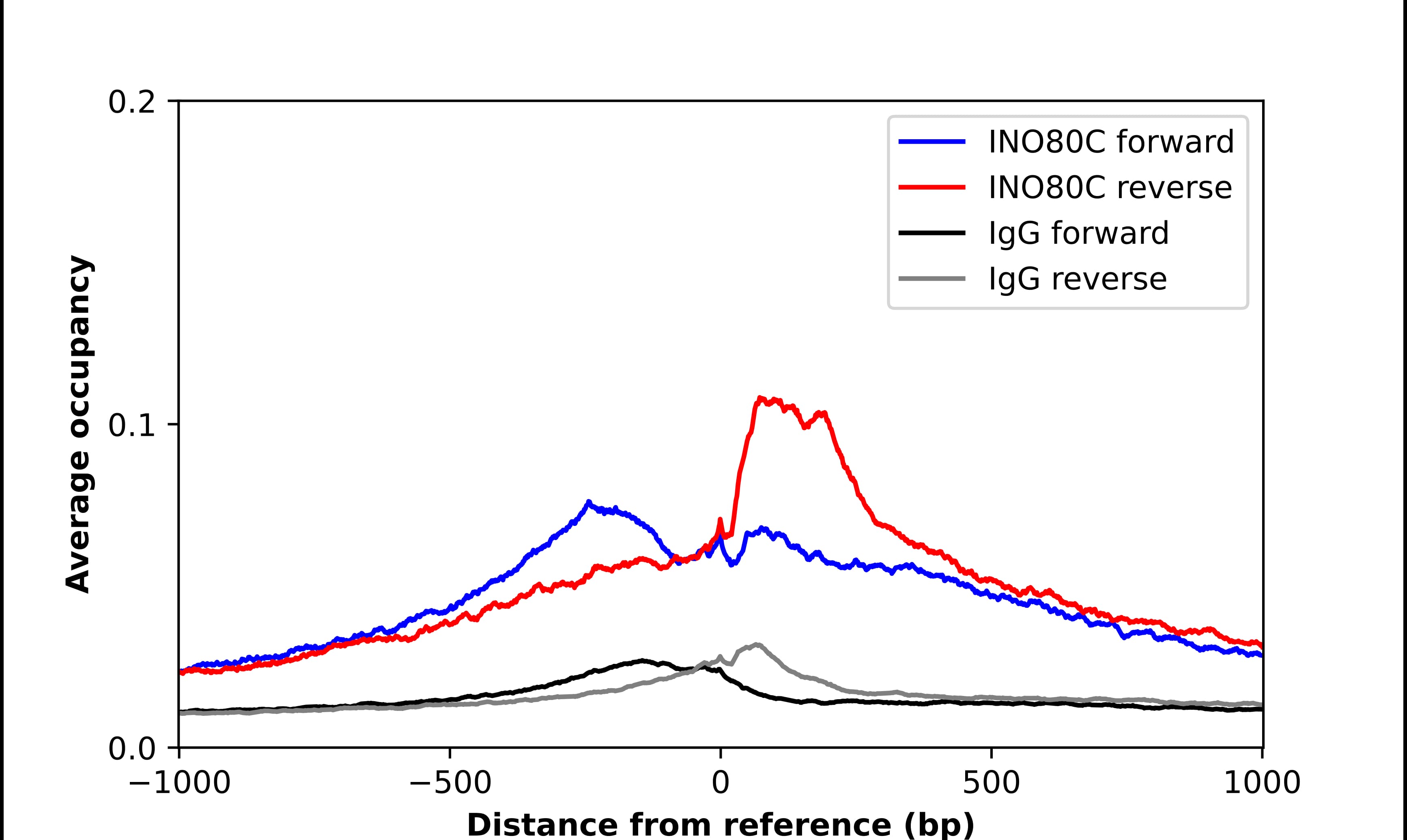 ChIP-Exo-Seq composite graph for Anti-INO80C (NBP2-14123) tested in K562 cells. Strand-specific reads (blue: forward, red: reverse) and IgG controls (black: forward, grey: reverse) are plotted against the distance from a composite set of reference binding sites. The antibody exhibits robust target enrichment compared to a non-specific IgG control and precisely reveals its structural organization around the binding site. Data generated by Prof. B. F. Pugh´s Lab at Cornell University.