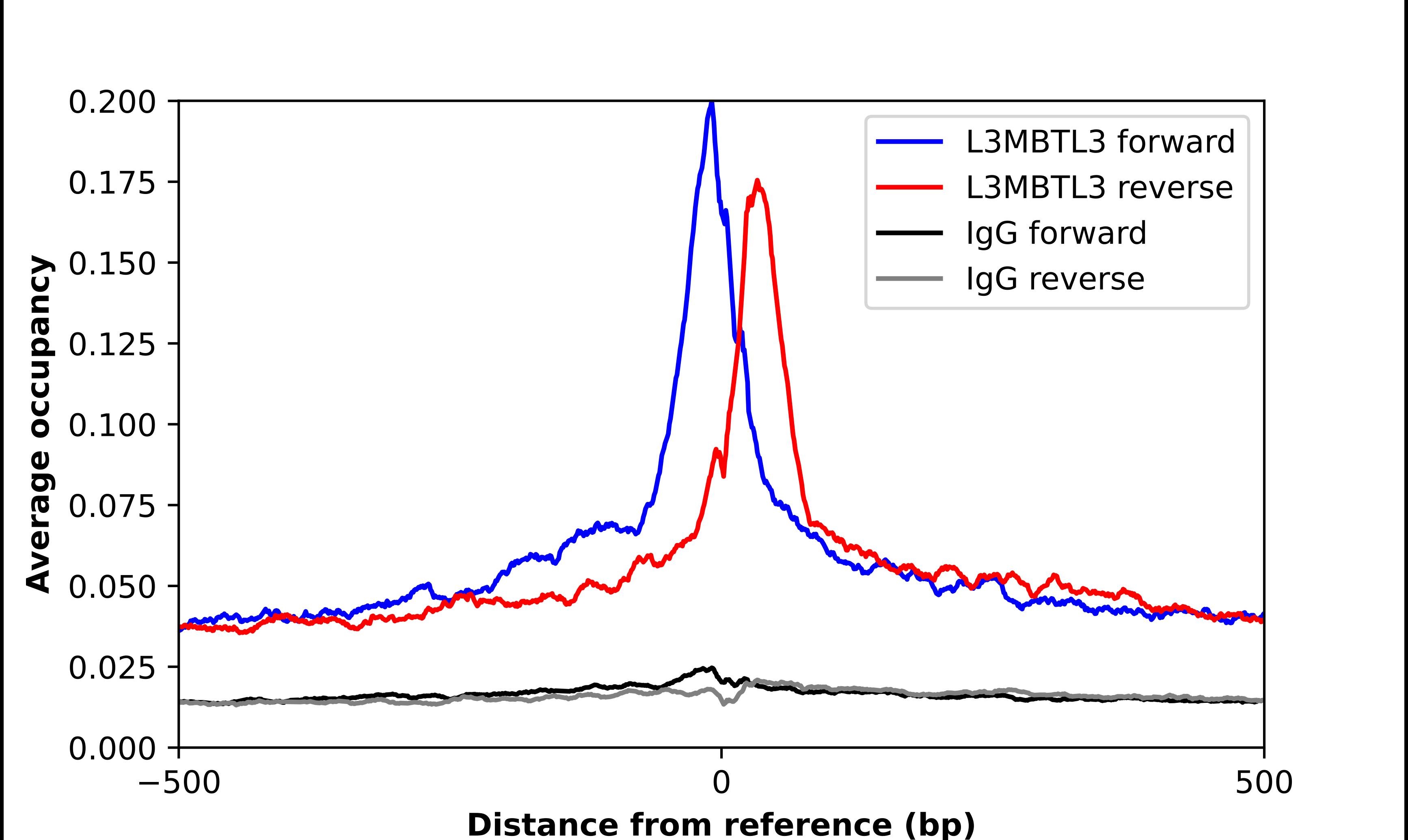 Chromatin Immunoprecipitation L3MBTL3 Antibody - BSA Free
