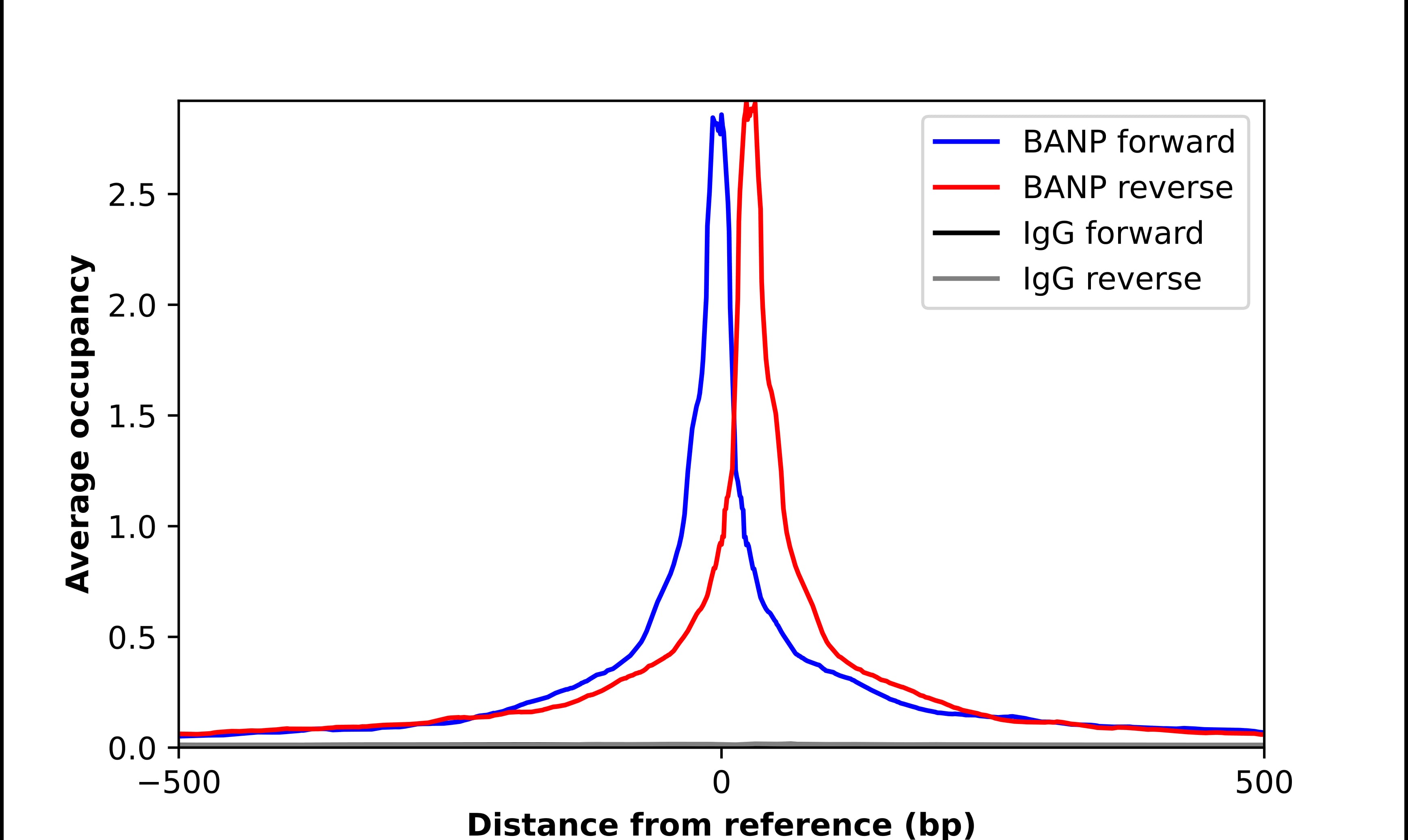 ChIP-Exo-Seq composite graph for Anti-BANP tested in K562 cells. Strand-specific reads (blue: forward, red: reverse) and IgG controls (black: forward, grey: reverse) are plotted against the distance from a composite set of reference binding sites. The antibody exhibits robust target enrichment compared to a non-specific IgG control and precisely reveals its structural organization around the binding site. Data generated by Prof. B. F. Pugh's Lab at Cornell University.