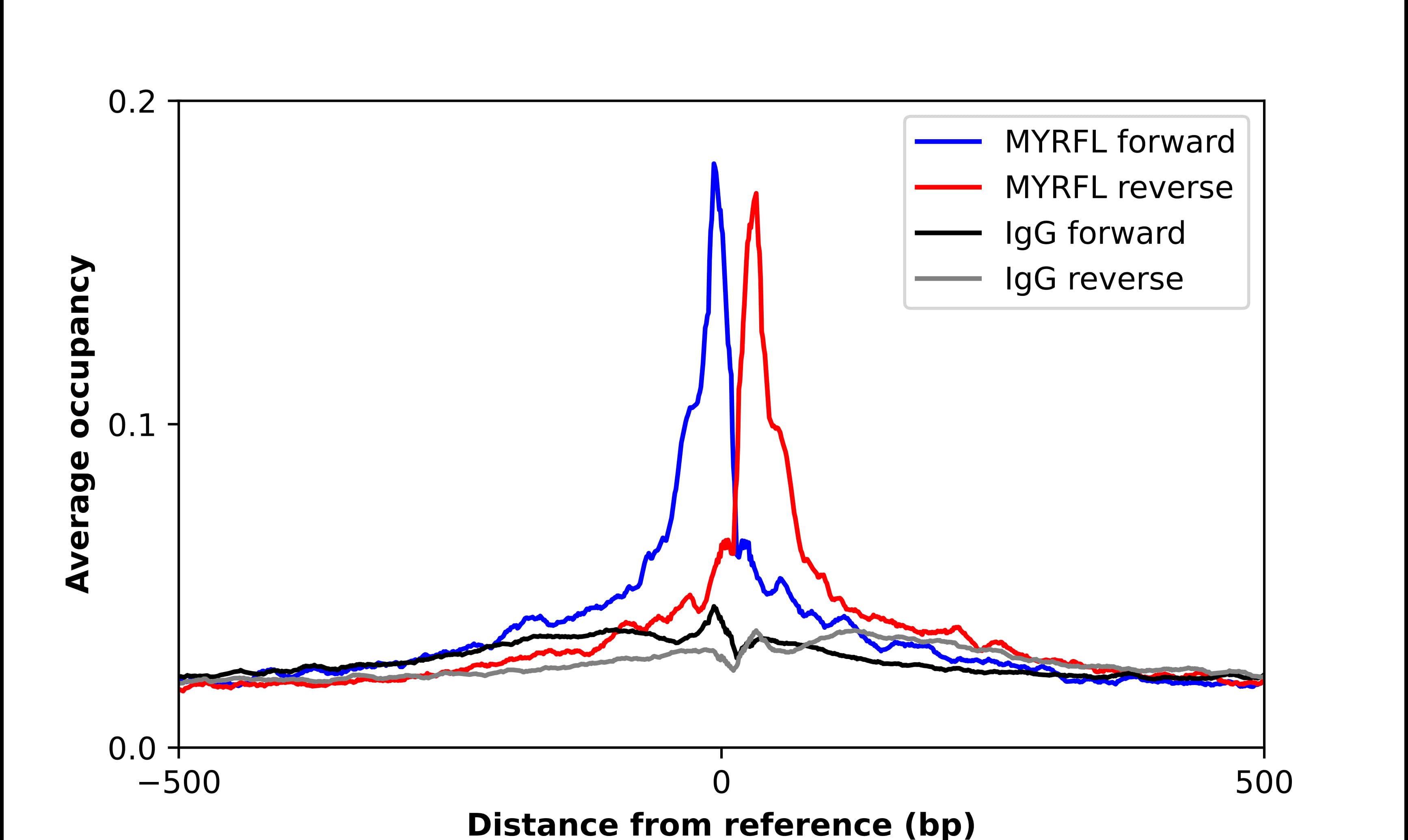 ChIP-Exo-Seq composite graph for Anti-MYRFL tested in K562 cells. Strand-specific reads (blue: forward, red: reverse) and IgG controls (black: forward, grey: reverse) are plotted against the distance from a composite set of reference binding sites. The antibody exhibits robust target enrichment compared to a non-specific IgG control and precisely reveals its structural organization around the binding site. Data generated by Prof. B. F. Pugh's Lab at Cornell University.