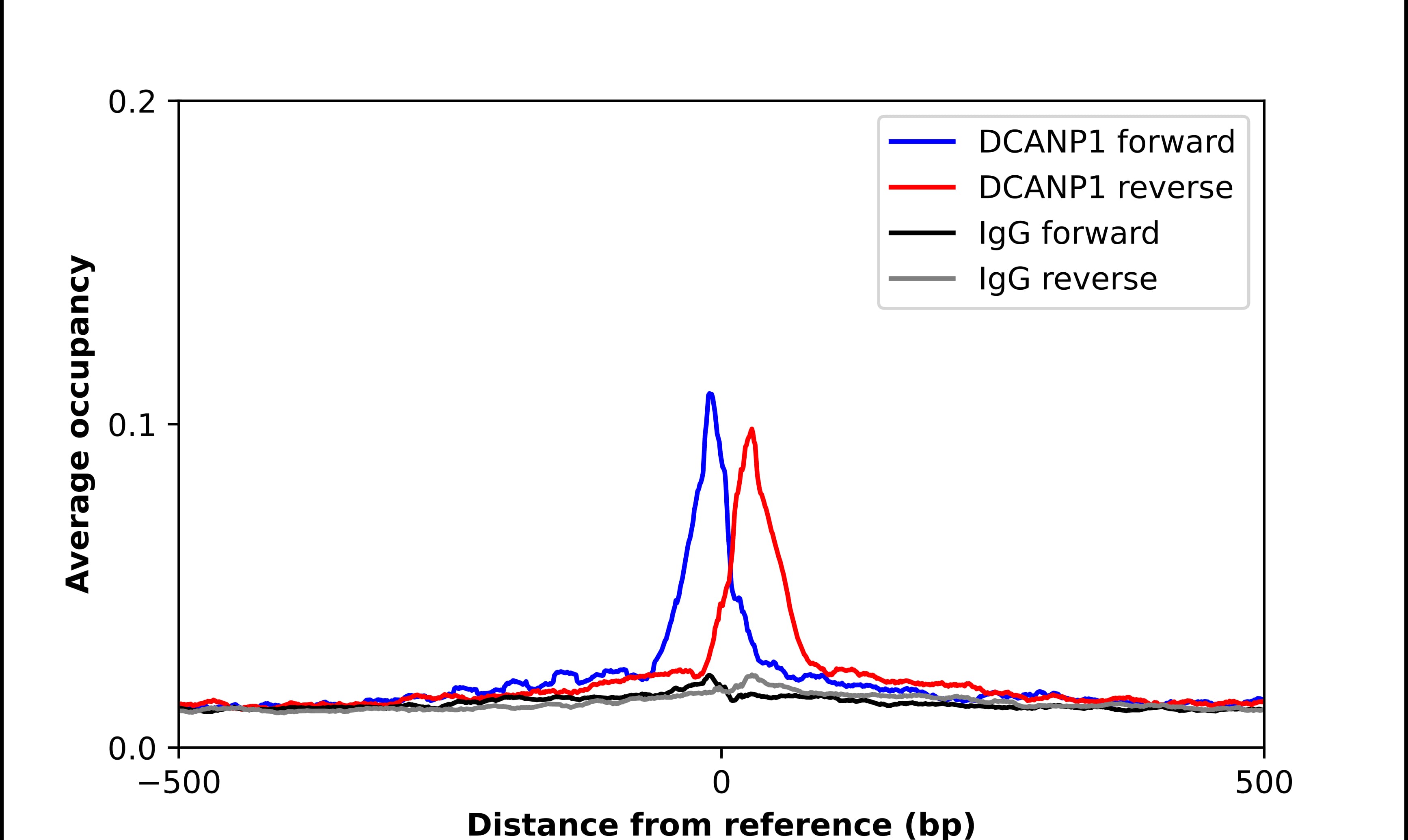 ChIP-Exo-Seq composite graph for Anti-DCNP1 tested in K562 cells. Strand-specific reads (blue: forward, red: reverse) and IgG controls (black: forward, grey: reverse) are plotted against the distance from a composite set of reference binding sites. The antibody exhibits robust target enrichment compared to a non-specific IgG control and precisely reveals its structural organization around the binding site. Data generated by Prof. B. F. Pugh's Lab at Cornell University.