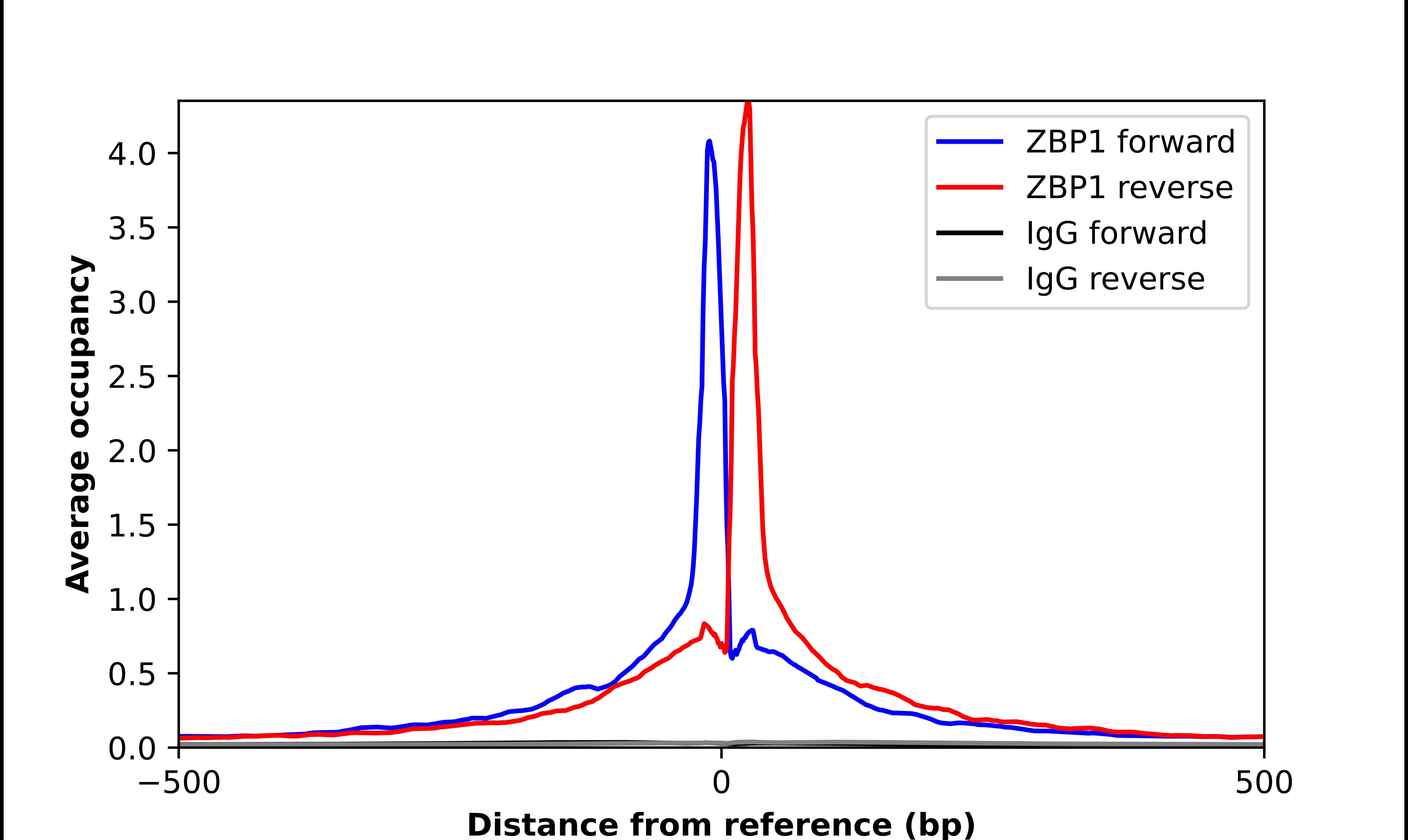 ChIP-Exo-Seq composite graph for Anti-ZBP1/DLM-1/DAI tested in K562 cells. Strand-specific reads (blue: forward, red: reverse) and IgG controls (black: forward, grey: reverse) are plotted against the distance from a composite set of reference binding sites. The antibody exhibits robust target enrichment compared to a non-specific IgG control and precisely reveals its structural organization around the binding site. Data generated by Prof. B. F. Pugh's Lab at Cornell University.