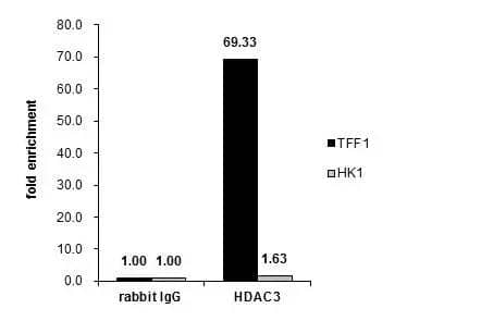 Cross-linked ChIP was performed with MCF-7 chromatin extract and 5 ug of either control rabbit IgG or anti-HDAC3 antibody. The precipitated DNA was detected by PCR with primer set targeting to TFF1 or HK1. 
