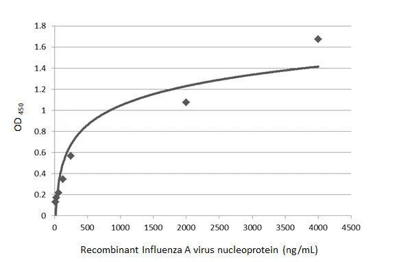 Sandwich ELISA detection of recombinant full-length Influenza A virus NP (nucleoprotein) protein, DDDDK tag  using Influenza A virus NP (nucleoprotein) antibody (NBP2-16965) as capture antibody at concentration of 5 ug/mL and Influenza A virus NP (nucleoprotein) antibody [GT1236]  as detection antibody at concentration of 1 ug/mL. Mouse IgG antibody (HRP)  was diluted at 1:10000 and used to detect the primary antibody. 