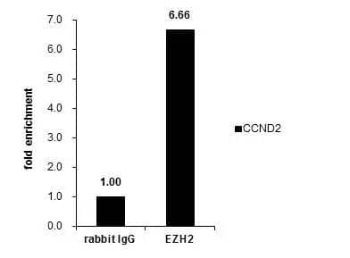 Cross-linked ChIP was performed with HeLa chromatin extract and 5 ug of either control rabbit IgG or anti-EZH2 antibody. The precipitated DNA was detected by PCR with primer set targeting to CCND2. 