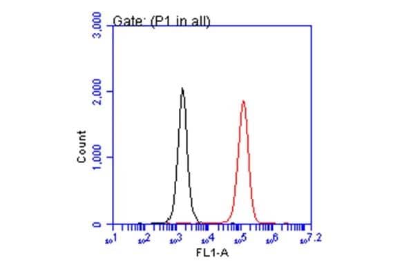 CD81 antibody (NBP2-20564) detects CD81 by flow cytometry analysis. Sample: THP-1 cell. Black: Unlabelled sample was used as a control. Red: CD81 antibody (NBP2-20564) dilution: 1:50. Acquisition of 20,000 events were collected for FACS analysis. 