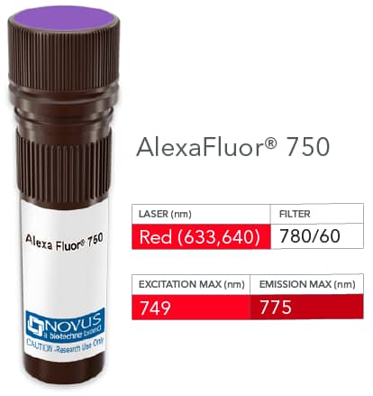HSP27 Antibody (6H11) [Alexa Fluor® 750] [NBP2-25149AF750] - Vial of Alexa Fluor 750 conjugated antibody. Alexa Fluor 750 is optimally excited at 749 nm by the Red laser (633 or 640 nm) and has an emission maximum of 775 nm.