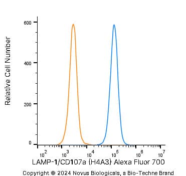 An intracellular stain was performed on A431 human skin carcinoma cell line using Mouse anti-LAMP-1/CD107a (H4A3) Protein-G purified Monoclonal Antibody conjugated to Alexa Fluor® 700 (Catalog # NBP2-25183AF700, blue histogram) or matched control antibody (orange histogram) at 2.5 µg/mL for 30 minutes at RT.