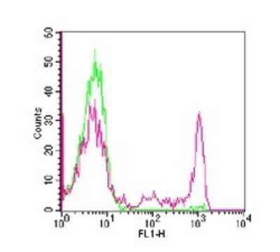 Flow Cytometry: CD8 Antibody (RPA-T8) - Azide and BSA Free [NBP2-25195] - Analysis using the FITC conjugate of NBP2-25195. Staining of CD8 in human PBMCs using 0.25 ug of (clone RPA-T8) per approximately 1x10^6 cells. Green represents isotype control this antibody, red represents anti-CD8 FITC antibody.