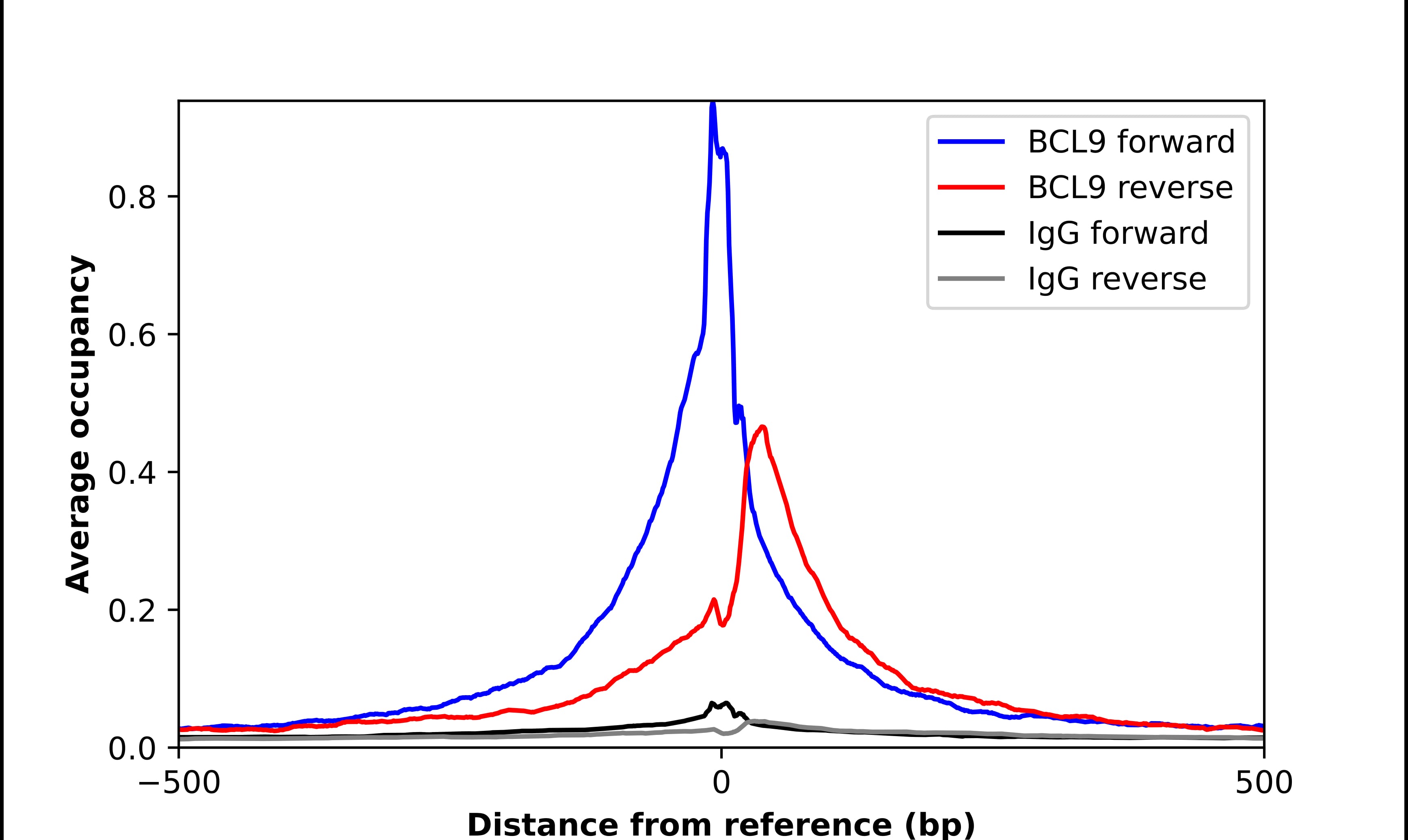 ChIP-Exo-Seq composite graph for Anti-Bcl-9 tested in K562 cells. Strand-specific reads (blue: forward, red: reverse) and IgG controls (black: forward, grey: reverse) are plotted against the distance from a composite set of reference binding sites. The antibody exhibits robust target enrichment compared to a non-specific IgG control and precisely reveals its structural organization around the binding site. Data generated by Prof. B. F. Pugh's Lab at Cornell University.