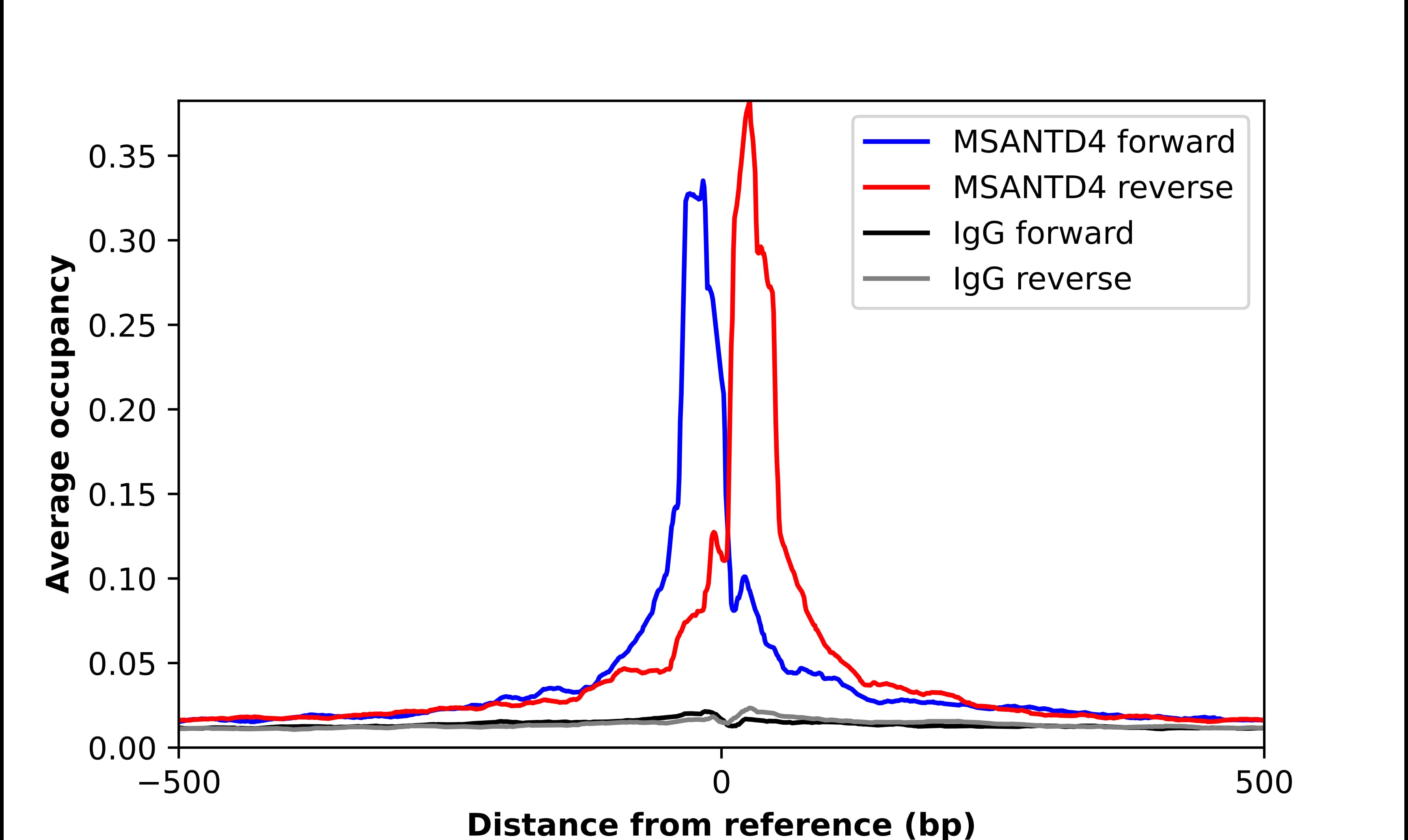 ChIP-Exo-Seq composite graph for Anti-MSANTD4 tested in K562 cells. Strand-specific reads (blue: forward, red: reverse) and IgG controls (black: forward, grey: reverse) are plotted against the distance from a composite set of reference binding sites. The antibody exhibits robust target enrichment compared to a non-specific IgG control and precisely reveals its structural organization around the binding site. Data generated by Prof. B. F. Pugh's Lab at Cornell University.