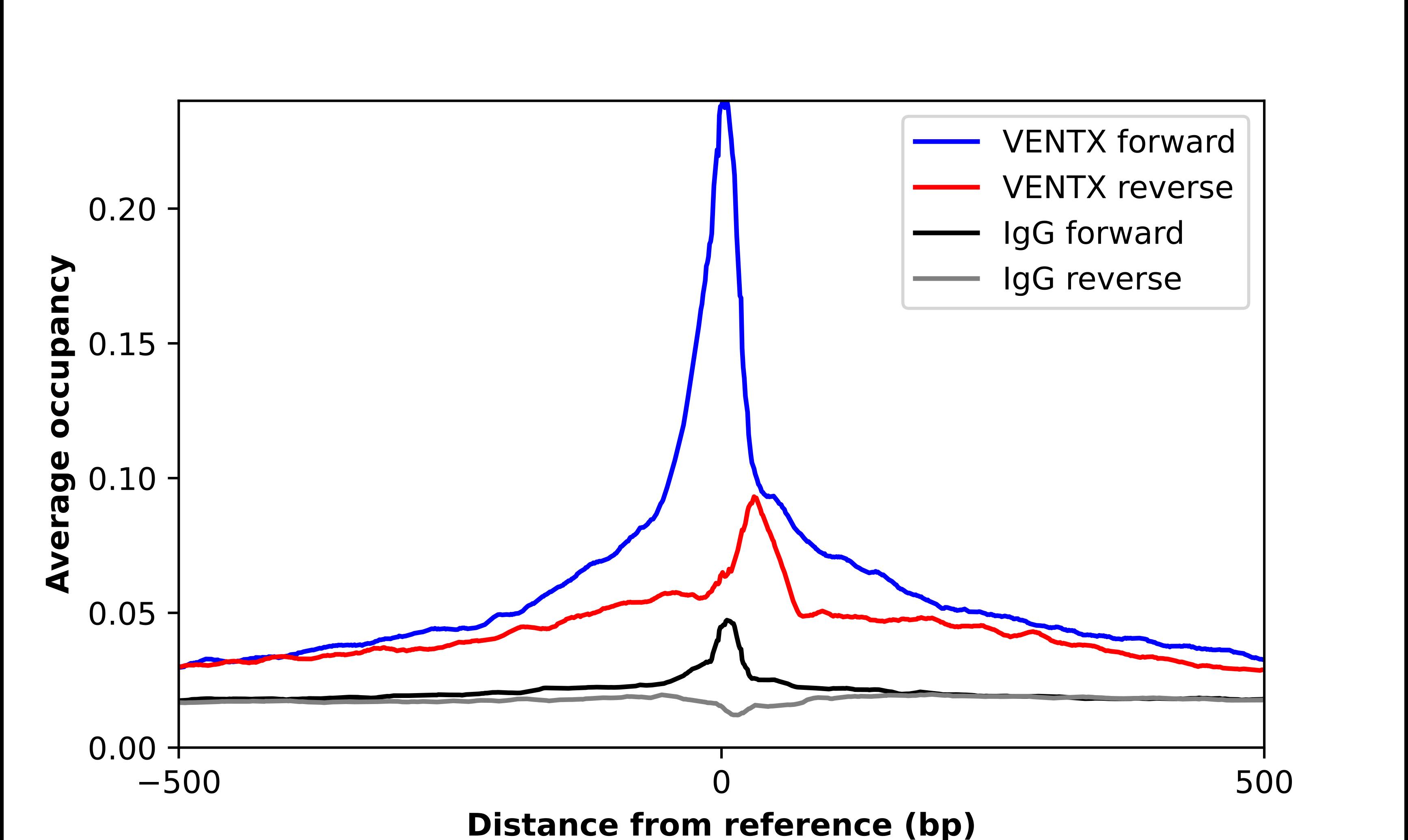 ChIP-Exo-Seq composite graph for Anti-VENTX tested in K562 cells. Strand-specific reads (blue: forward, red: reverse) and IgG controls (black: forward, grey: reverse) are plotted against the distance from a composite set of reference binding sites. The antibody exhibits robust target enrichment compared to a non-specific IgG control and precisely reveals its structural organization around the binding site. Data generated by Prof. B. F. Pugh's Lab at Cornell University.