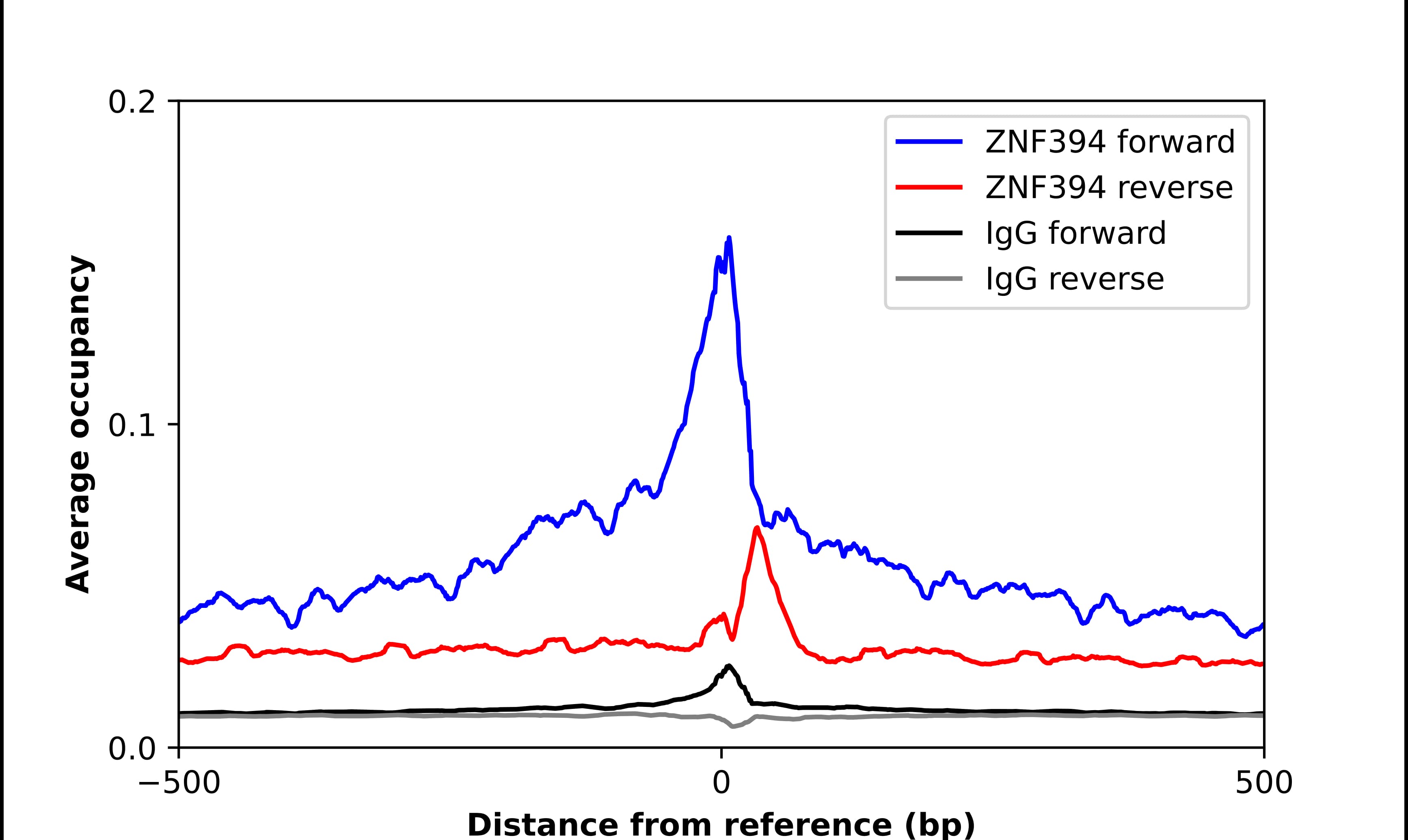 Chromatin Immunoprecipitation ZNF394 Antibody - BSA Free