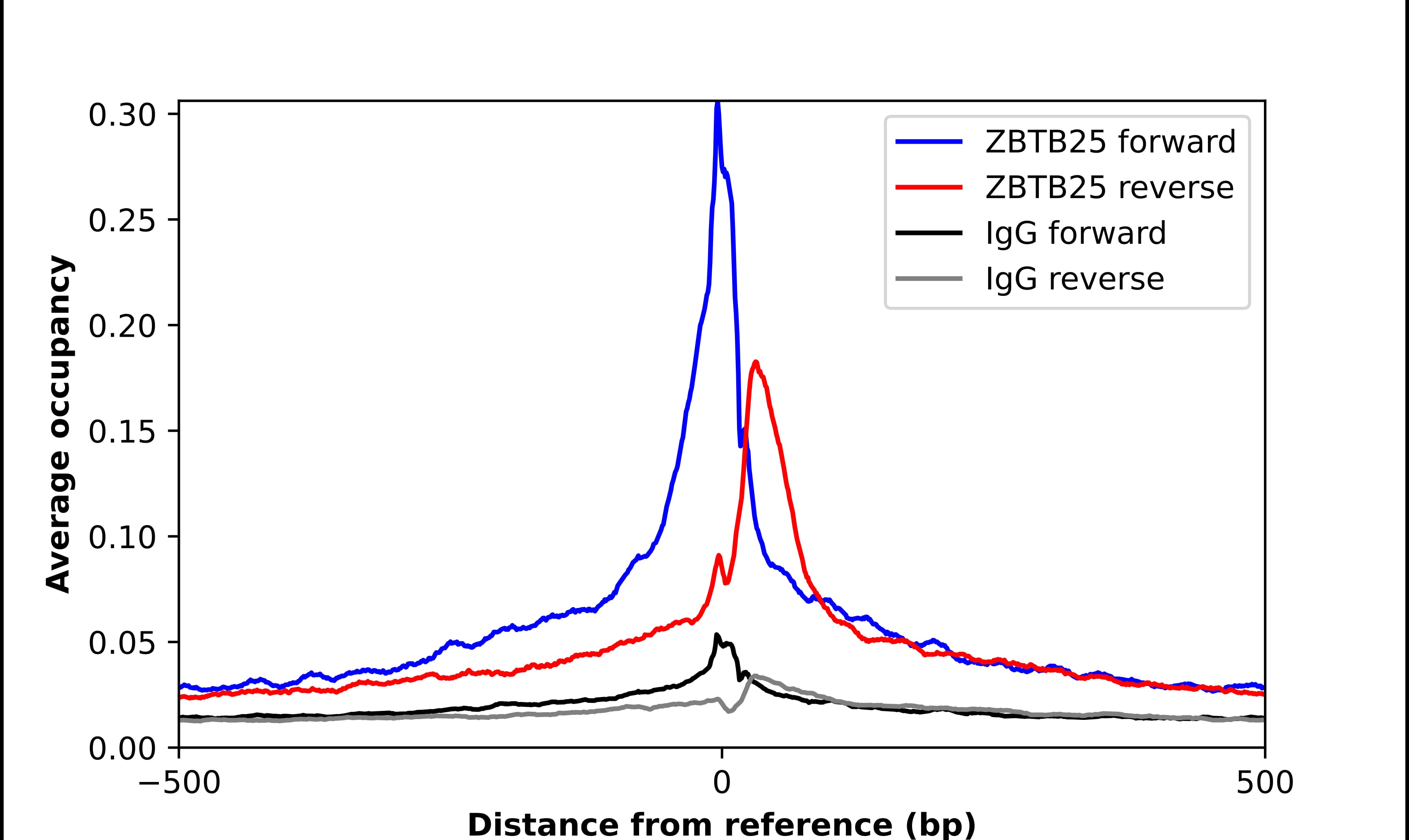 ChIP-Exo-Seq composite graph for Anti-ZBTB25 tested in K562 cells. Strand-specific reads (blue: forward, red: reverse) and IgG controls (black: forward, grey: reverse) are plotted against the distance from a composite set of reference binding sites. The antibody exhibits robust target enrichment compared to a non-specific IgG control and precisely reveals its structural organization around the binding site. Data generated by Prof. B. F. Pugh's Lab at Cornell University.