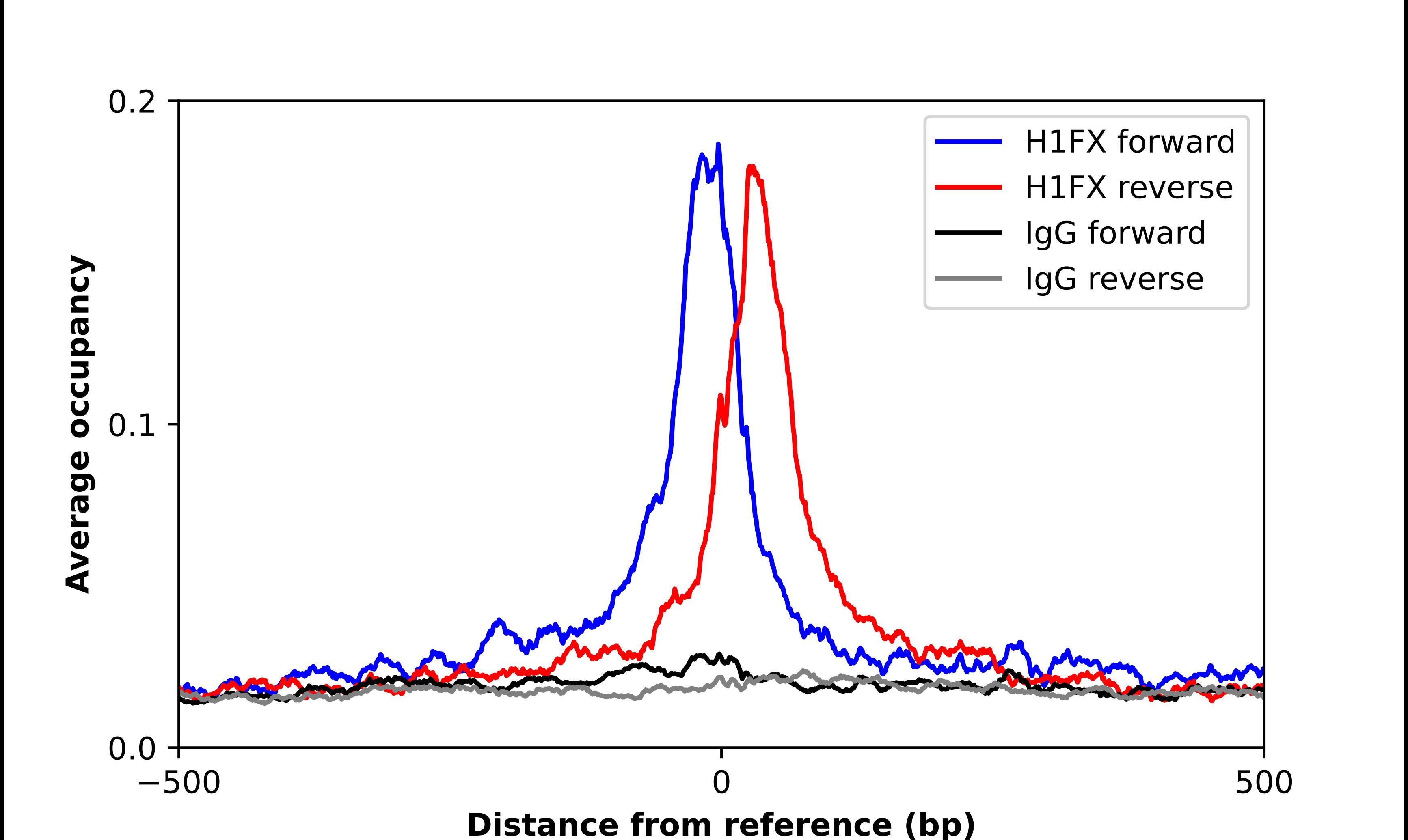 Chromatin Immunoprecipitation H1FX Antibody - BSA Free