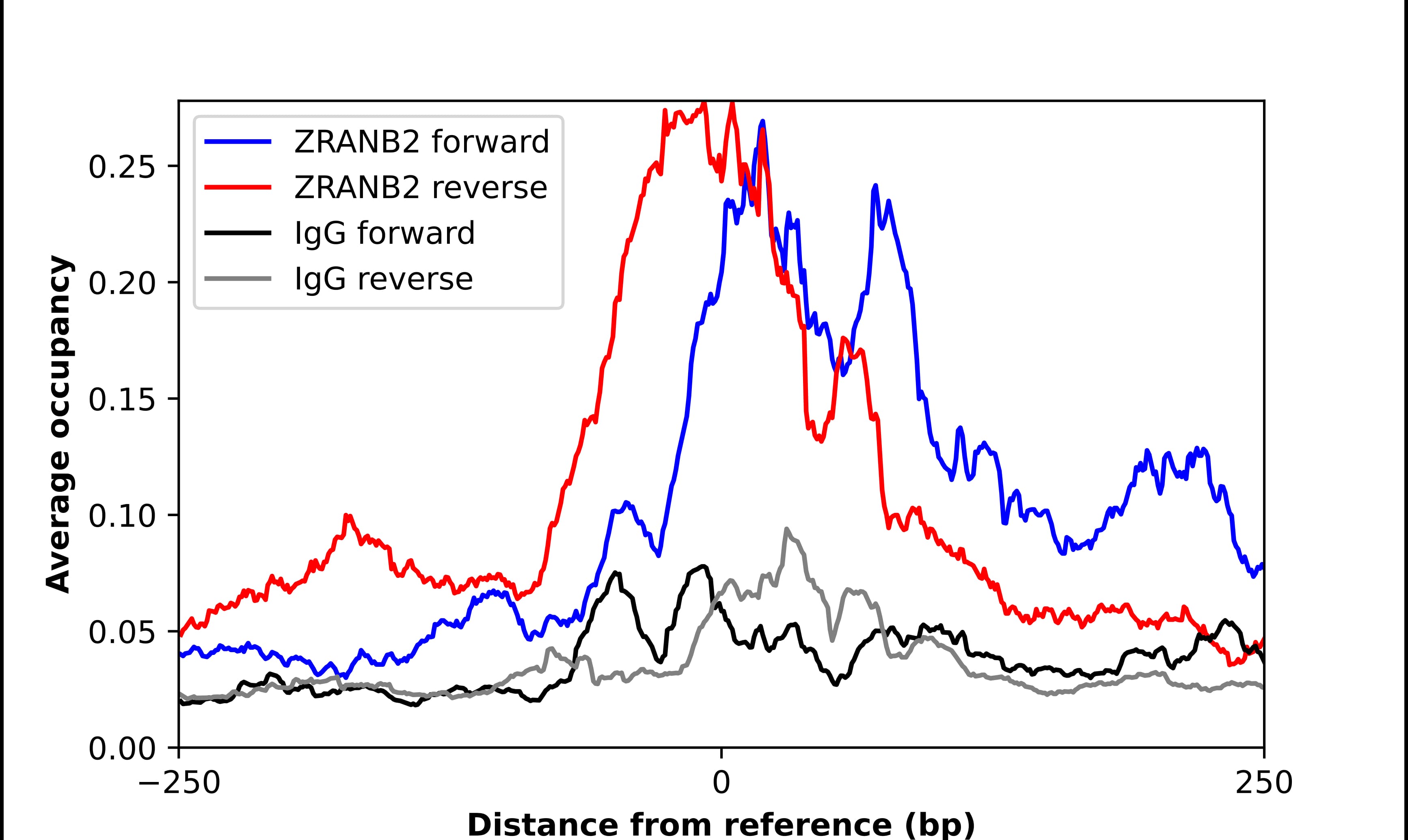 ChIP-Exo-Seq composite graph for Anti-ZRANB2 (NBP2-32378) tested in K562 cells. Strand-specific reads (blue: forward, red: reverse) and IgG controls (black: forward, grey: reverse) are plotted against the distance from a composite set of reference binding sites. The antibody exhibits robust target enrichment compared to a non-specific IgG control and precisely reveals its structural organization around the binding site. Data generated by Prof. B. F. Pugh´s Lab at Cornell University.