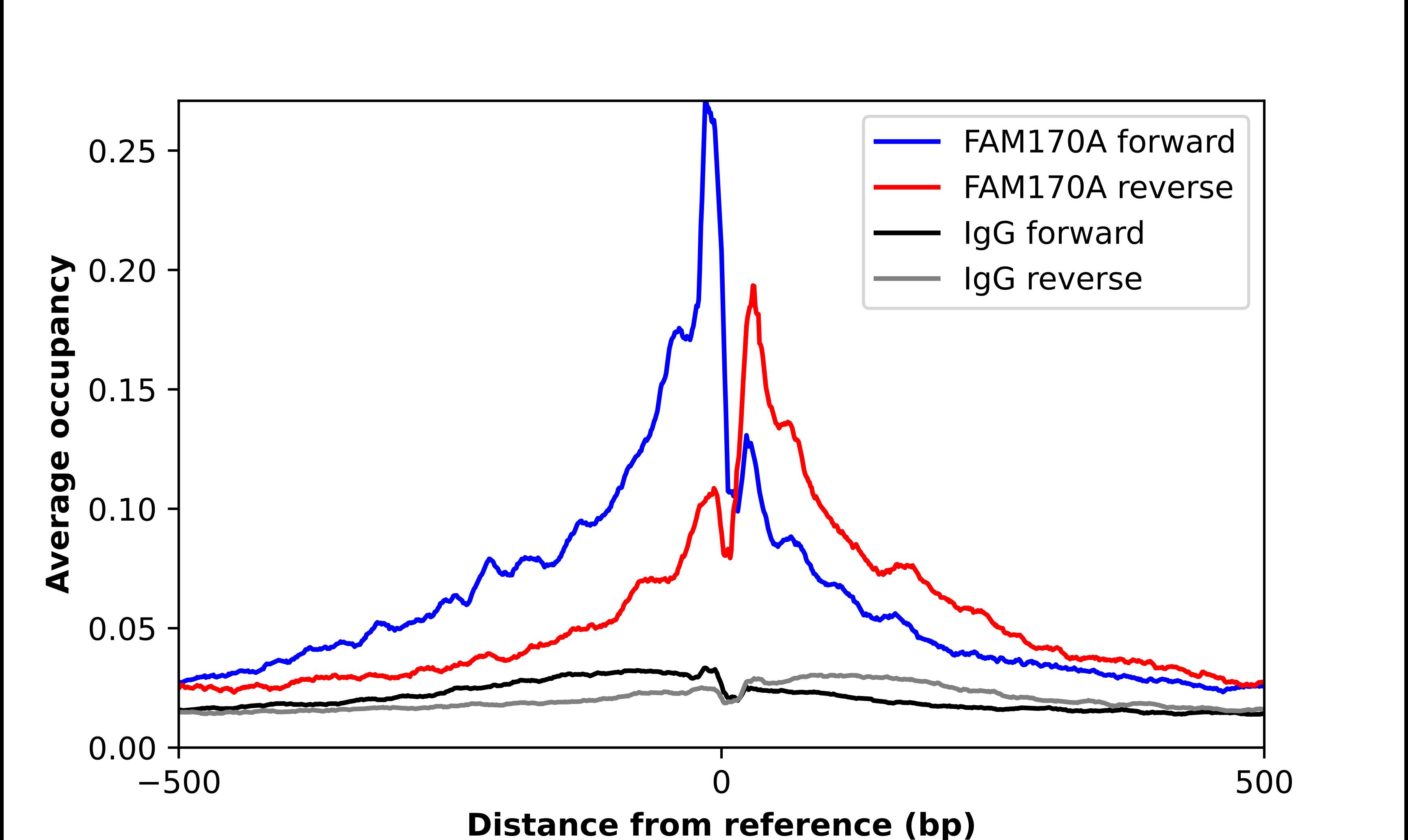 Chromatin Immunoprecipitation FAM170A Antibody - BSA Free