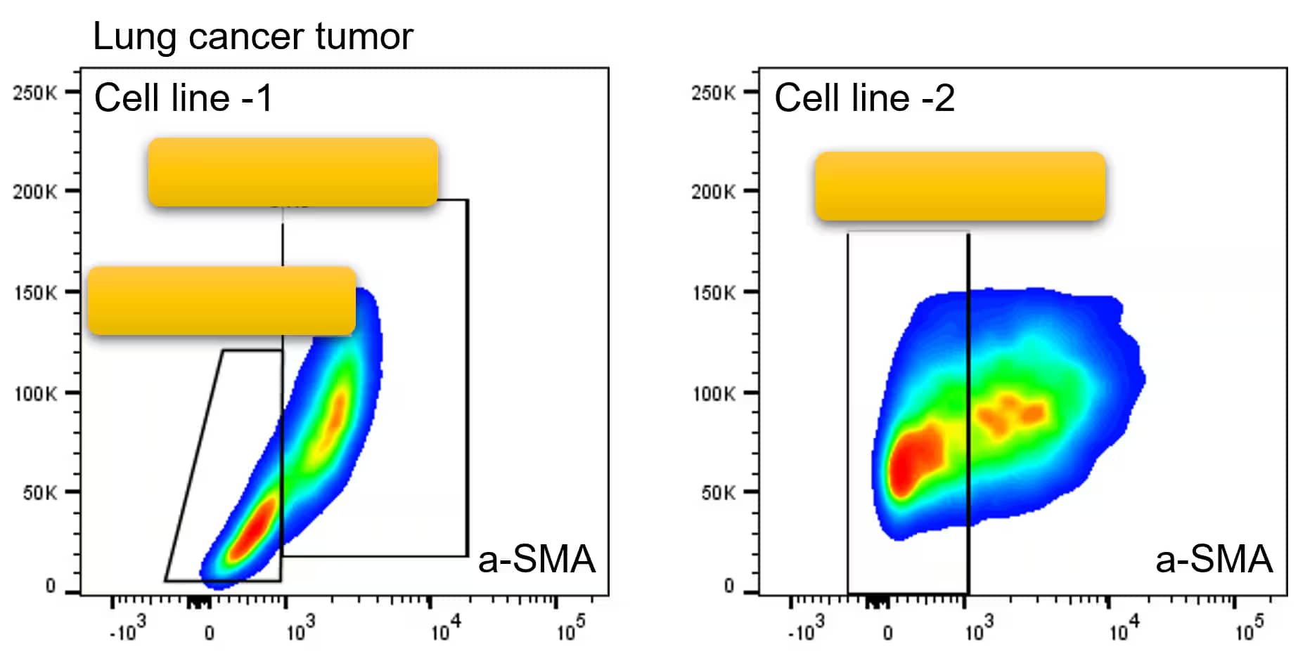 Flow Cytometry: alpha-Smooth Muscle Actin Antibody (1A4/asm-1) - BSA Free [NBP2-33006] - Analysis using two lung cancer cell lines to acquire the subcutaneous tumors. MMT status of macrophages was then analyzed. Image from a verified customer review.