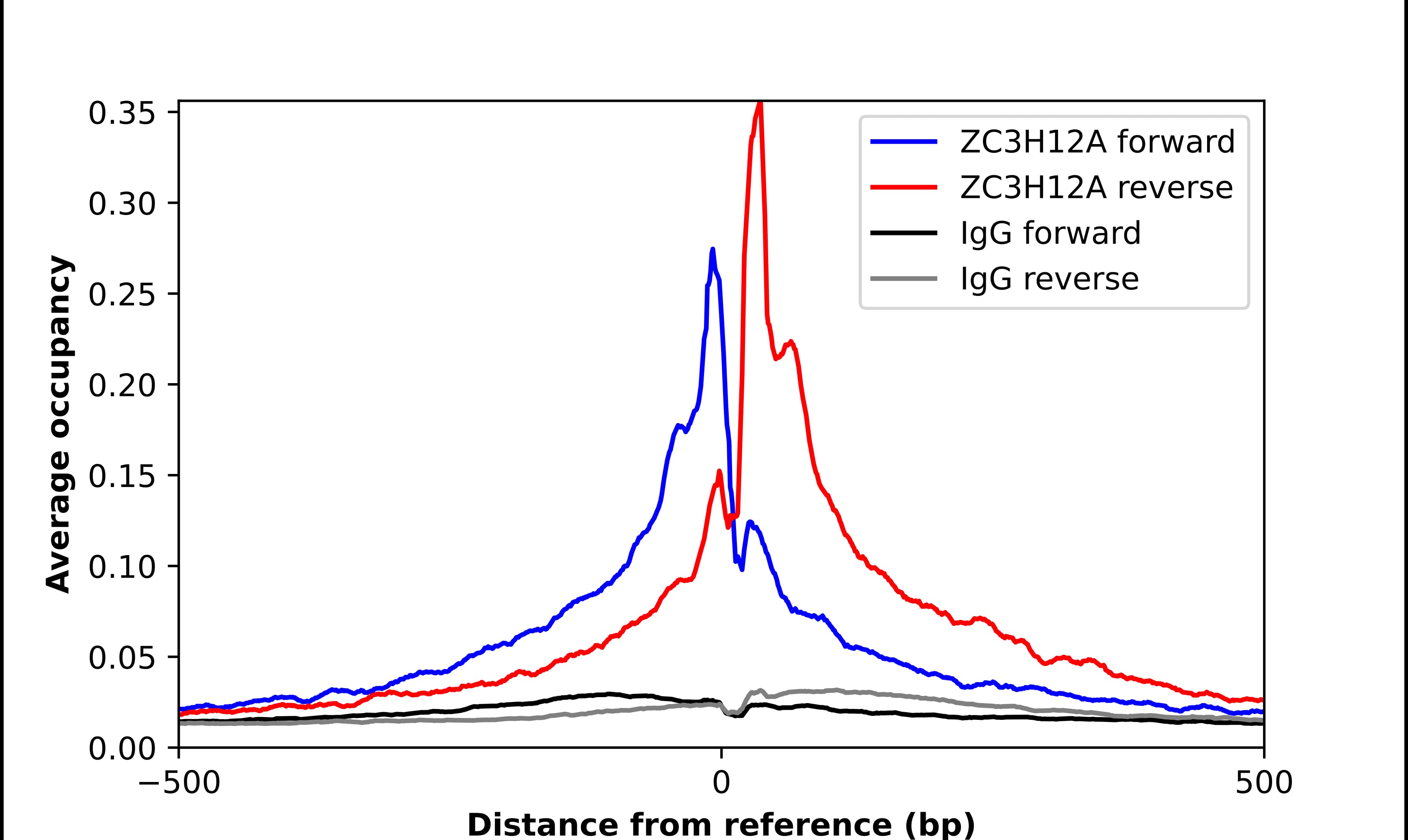 ChIP-Exo-Seq composite graph for Anti-MCPIP1/ZC3H12A tested in K562 cells. Strand-specific reads (blue: forward, red: reverse) and IgG controls (black: forward, grey: reverse) are plotted against the distance from a composite set of reference binding sites. The antibody exhibits robust target enrichment compared to a non-specific IgG control and precisely reveals its structural organization around the binding site. Data generated by Prof. B. F. Pugh's Lab at Cornell University.