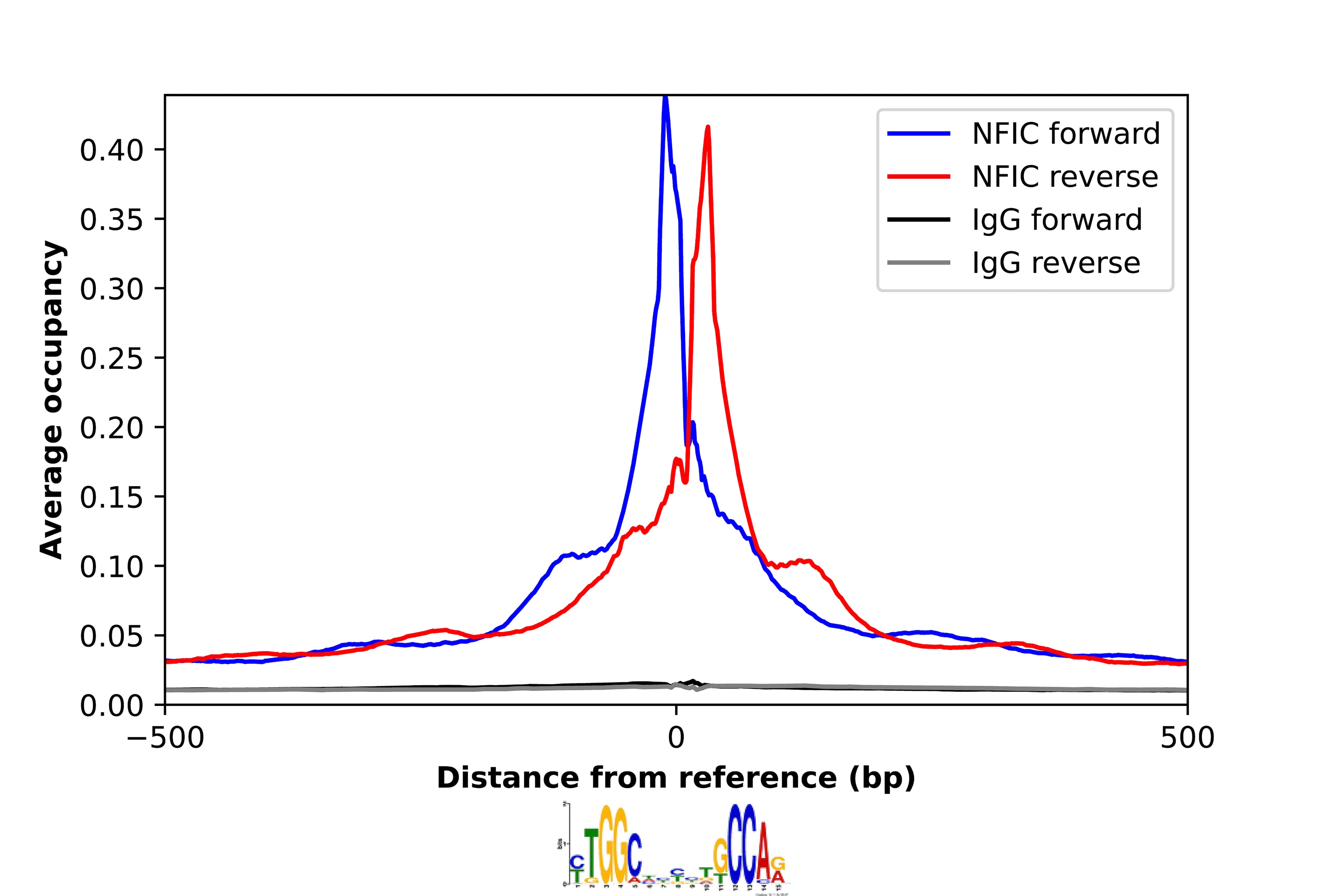 ChIP-Exo-Seq composite graph for Anti-NFIC (NBP2-37935) tested in K562 cells. Strand-specific reads (blue: forward, red: reverse) and IgG controls (black: forward, grey: reverse) are plotted against the distance from a composite set of reference binding sites. The antibody exhibits robust target enrichment compared to a non-specific IgG control and precisely reveals its structural organization around the binding site. Data generated by Prof. B. F. Pugh´s Lab at Cornell University.