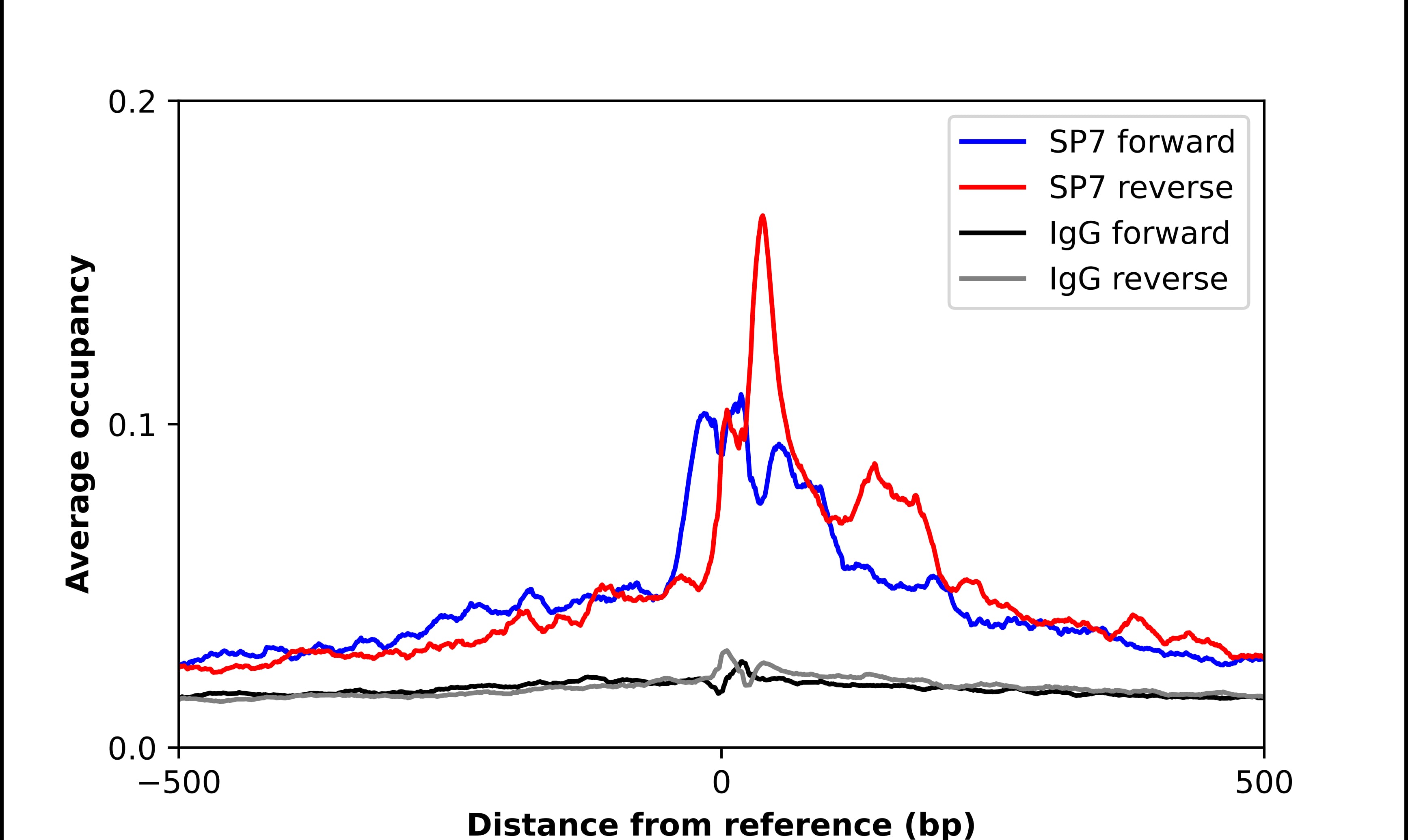 Chromatin Immunoprecipitation Osterix/Sp7 Antibody - BSA Free