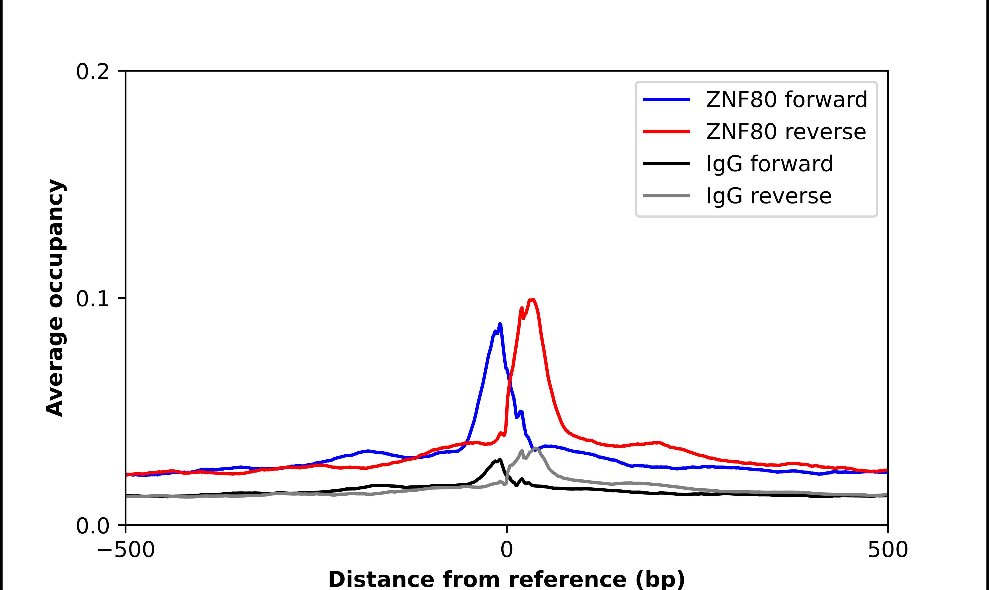 Chromatin Immunoprecipitation ZNF80 Antibody - BSA Free