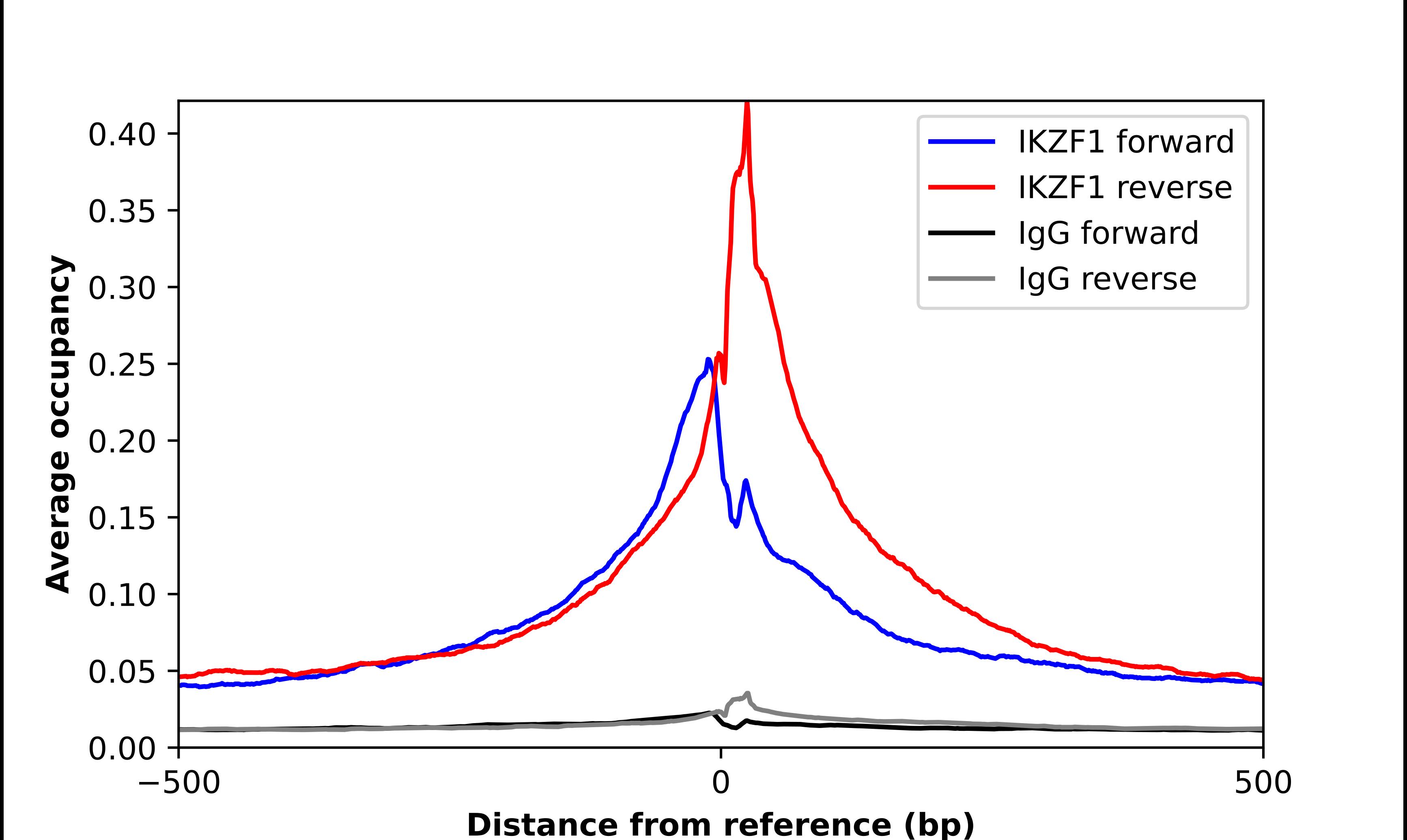 ChIP-Exo-Seq composite graph for Anti-Ikaros/IKZF1 tested in K562 cells. Strand-specific reads (blue: forward, red: reverse) and IgG controls (black: forward, grey: reverse) are plotted against the distance from a composite set of reference binding sites. The antibody exhibits robust target enrichment compared to a non-specific IgG control and precisely reveals its structural organization around the binding site. Data generated by Prof. B. F. Pugh's Lab at Cornell University.