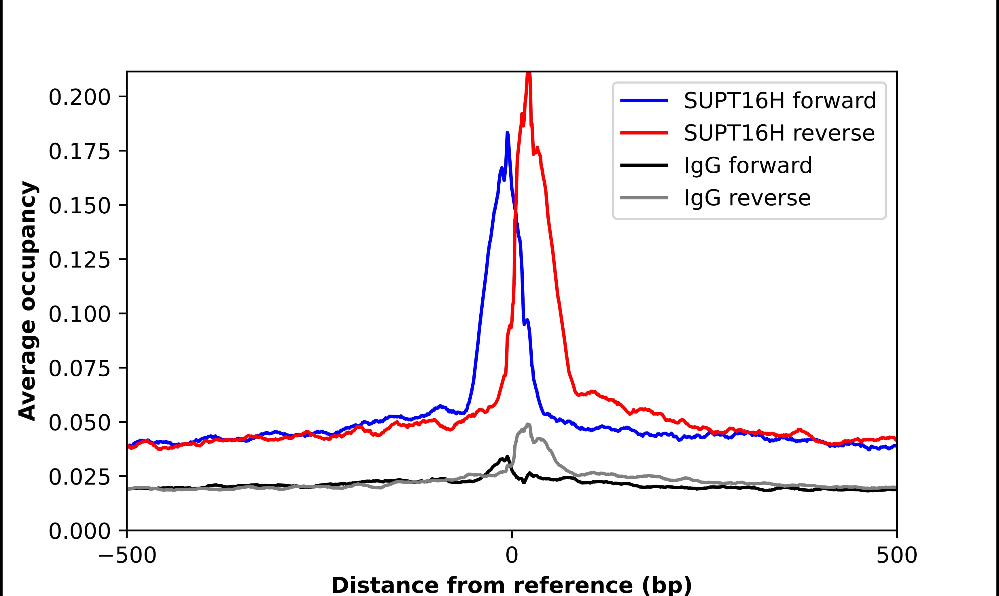 Chromatin Immunoprecipitation SUPT16H Antibody - BSA Free