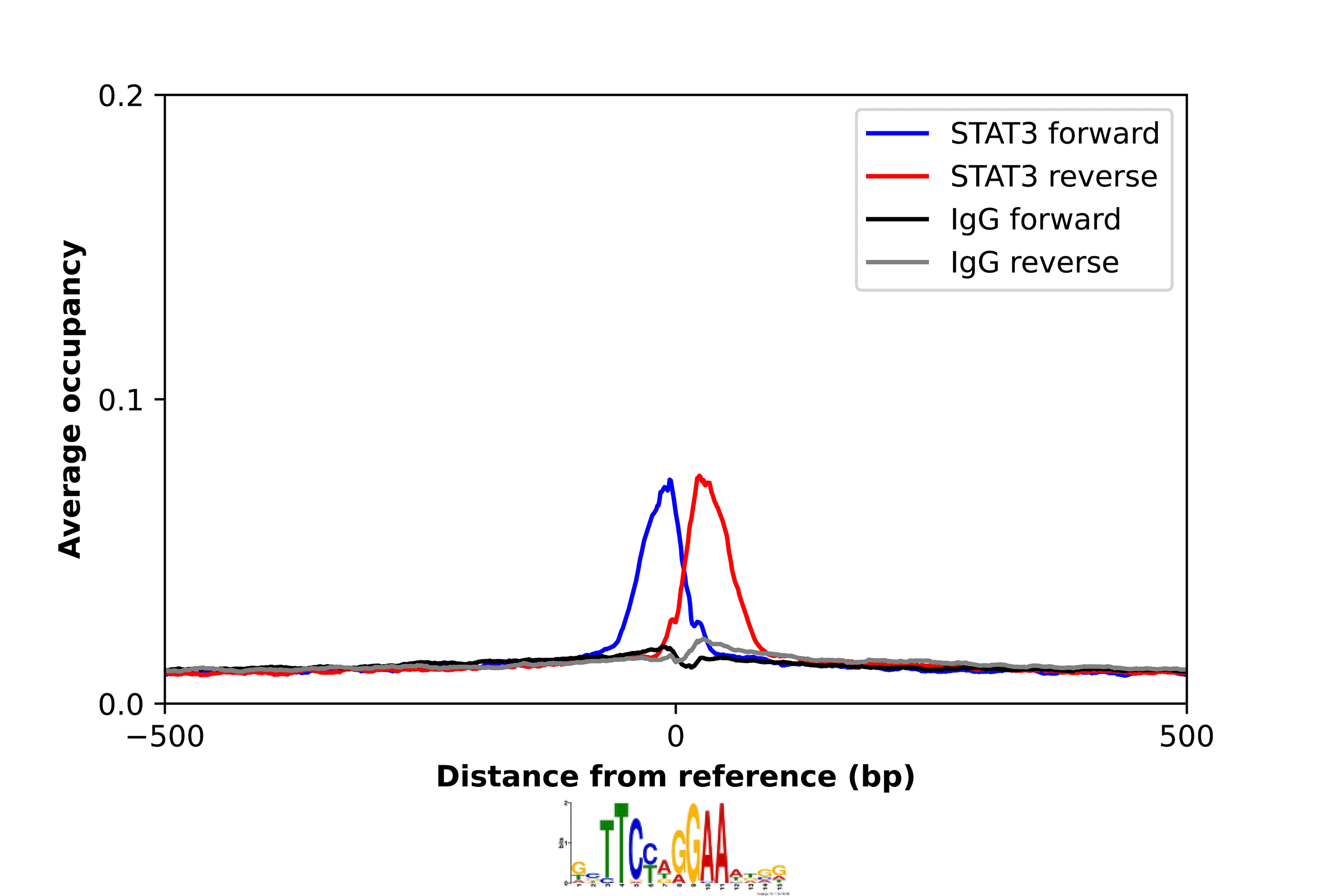 ChIP-Exo-Seq composite graph for Anti-STAT3 (NBP2-38857) tested in K562 cells. Strand-specific reads (blue: forward, red: reverse) and IgG controls (black: forward, grey: reverse) are plotted against the distance from a composite set of reference binding sites. The antibody exhibits robust target enrichment compared to a non-specific IgG control and precisely reveals its structural organization around the binding site. Data generated by Prof. B. F. Pugh´s Lab at Cornell University.