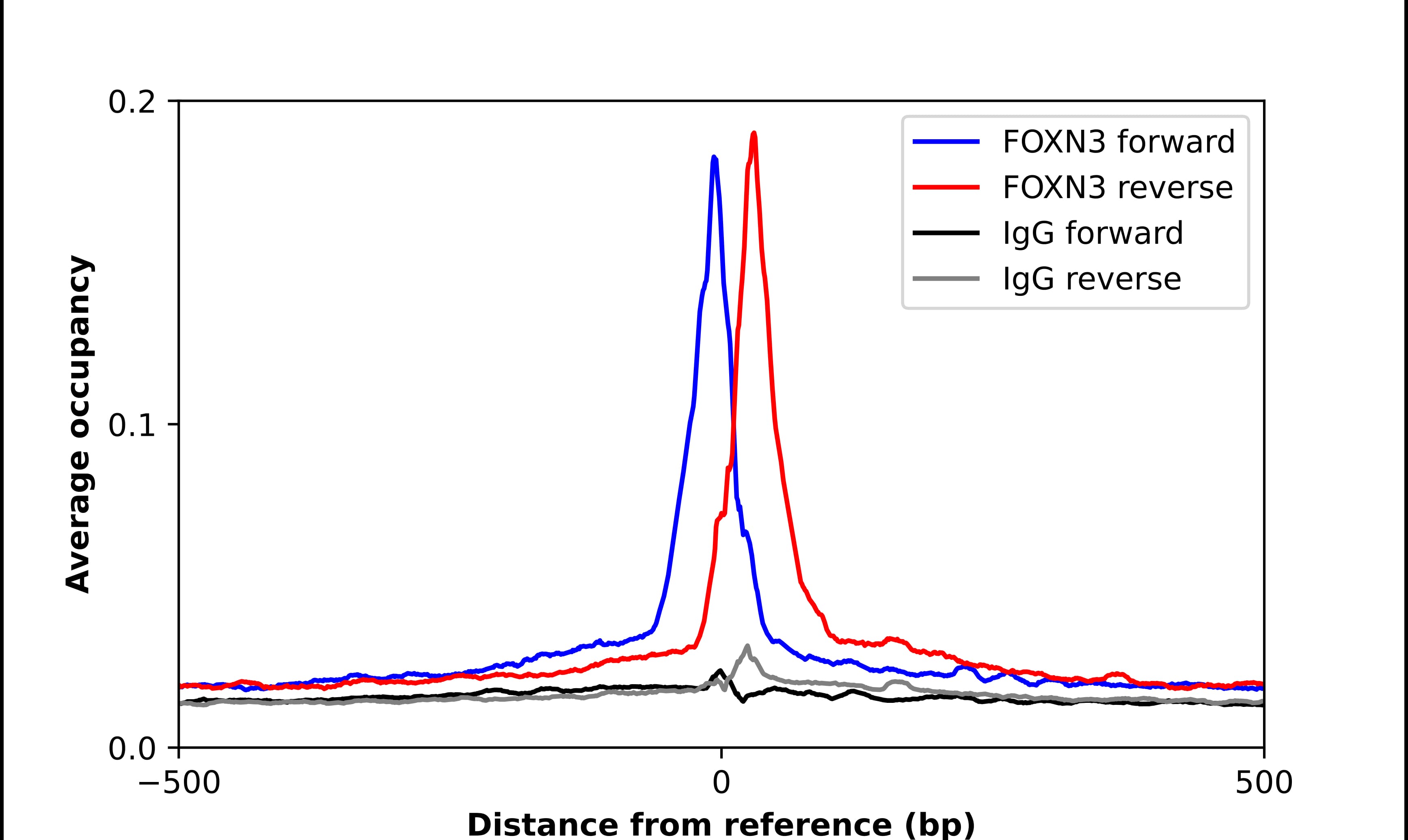 ChIP-Exo-Seq composite graph for Anti-CHES1 tested in K562 cells. Strand-specific reads (blue: forward, red: reverse) and IgG controls (black: forward, grey: reverse) are plotted against the distance from a composite set of reference binding sites. The antibody exhibits robust target enrichment compared to a non-specific IgG control and precisely reveals its structural organization around the binding site. Data generated by Prof. B. F. Pugh's Lab at Cornell University.