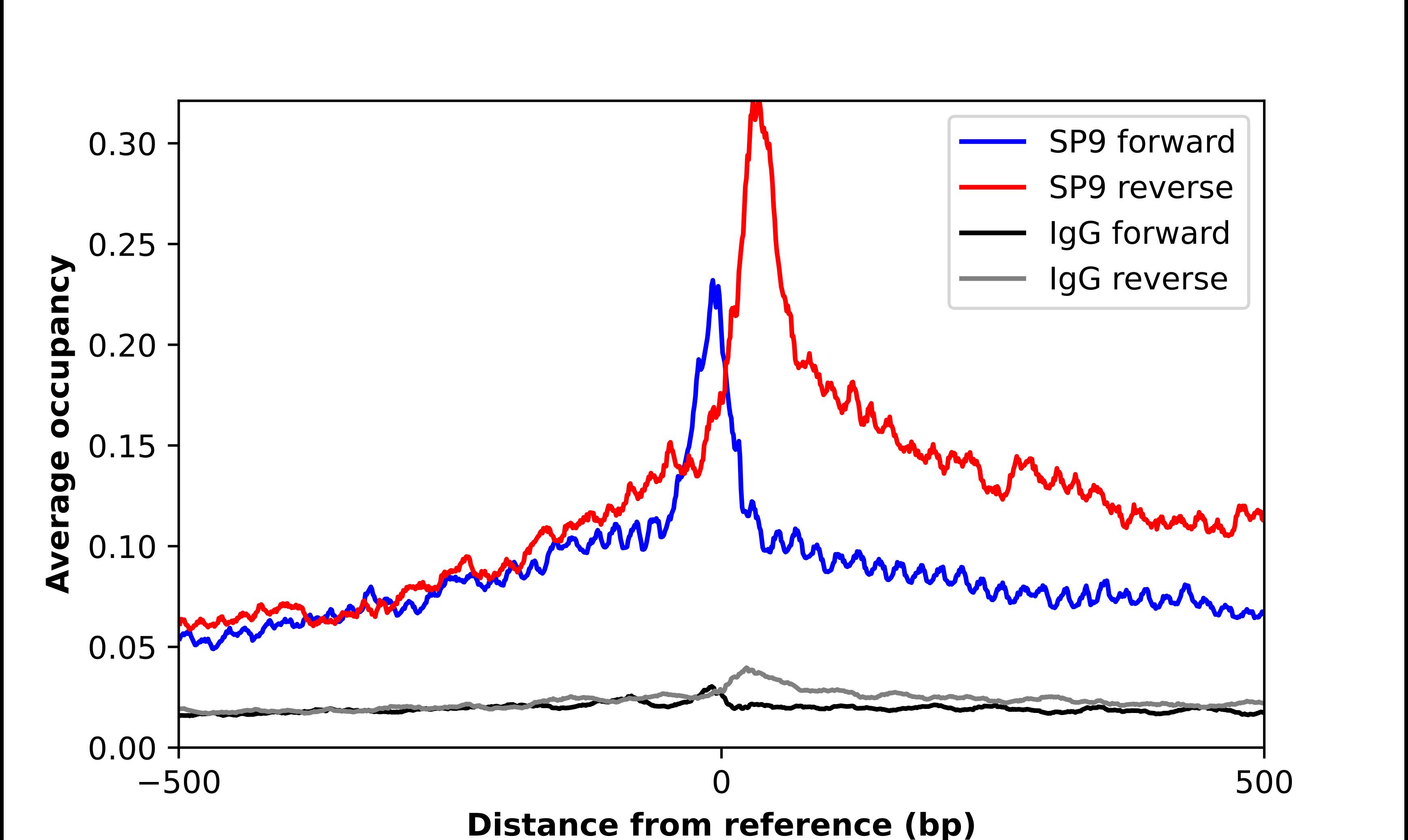 ChIP-Exo-Seq composite graph for Anti-SP9 tested in K562 cells. Strand-specific reads (blue: forward, red: reverse) and IgG controls (black: forward, grey: reverse) are plotted against the distance from a composite set of reference binding sites. The antibody exhibits robust target enrichment compared to a non-specific IgG control and precisely reveals its structural organization around the binding site. Data generated by Prof. B. F. Pugh's Lab at Cornell University.