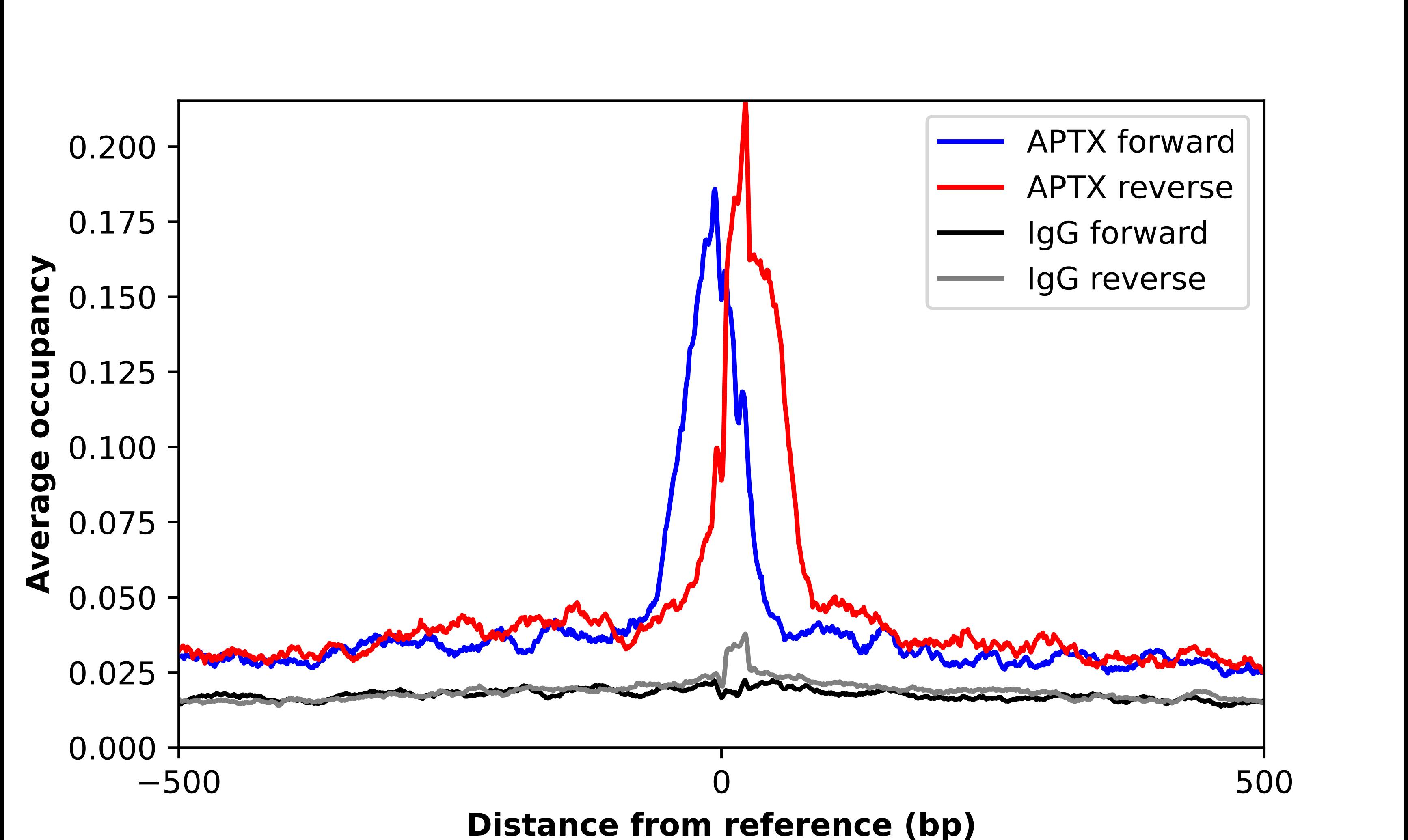 Chromatin Immunoprecipitation Aprataxin Antibody - BSA Free