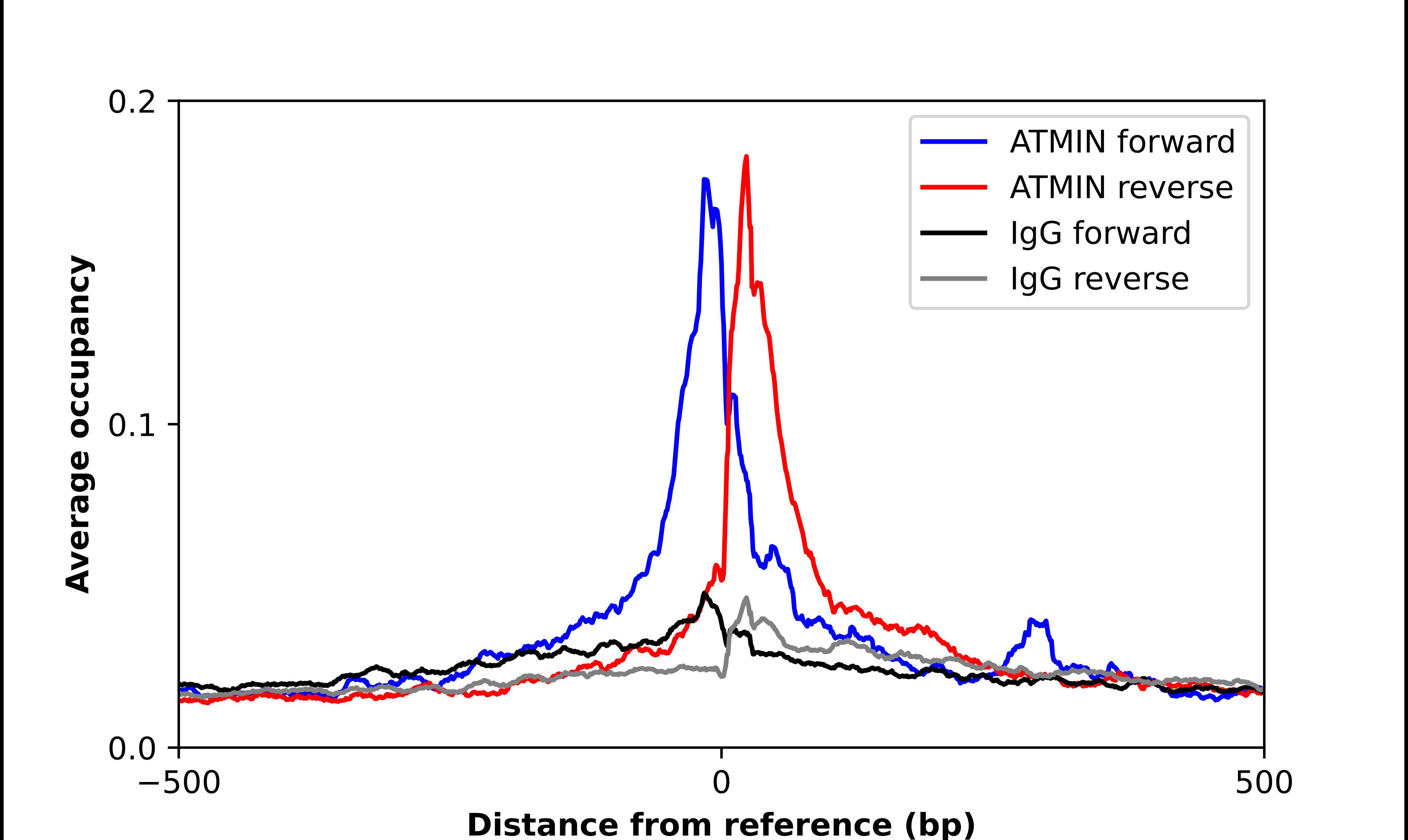 ChIP-Exo-Seq composite graph for Anti-ASCIZ tested in K562 cells. Strand-specific reads (blue: forward, red: reverse) and IgG controls (black: forward, grey: reverse) are plotted against the distance from a composite set of reference binding sites. The antibody exhibits robust target enrichment compared to a non-specific IgG control and precisely reveals its structural organization around the binding site. Data generated by Prof. B. F. Pugh's Lab at Cornell University.