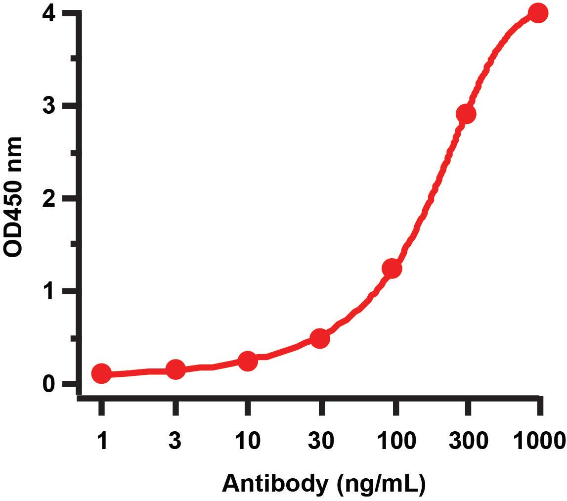ELISA: Avian Influenza A H5N1 Neuraminidase Antibody - BSA Free [NBP2-41049] - Figure 2 ELISA Validation with Avian Influenza NA Protein  Coating Antigen: Avian Influenza Neuraminidase recombinant protein, 2 u/mL, incubated at 4 C overnight.  Detection Antibodies: Avian Influenza NA  antibody, , dilution: 1-1000 ng/mL, incubated at RT for 1 hr.  Secondary Antibodies: Goat anti-rabbit HRP at 1:10,000, incubated at RT for 1 hr.