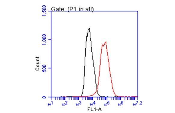 p21 Cip1 antibody [GT1032] (NBP2-43697) detects p21 Cip1 by flow cytometry analysis. Sample: HepG2 cell. Black: Unlabelled sample was used as a control. Red: p21 Cip1 antibody [GT1032] (NBP2-43697) dilution: 1:50. Acquisition of 20,000 events were collected for FACS analysis. 