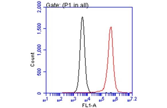 Flow Cytometry ARID5A Antibody (18112) - Azide and BSA Free