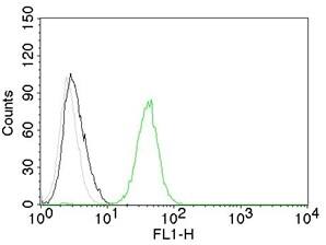 Flow Cytometry of human CD31 on Jurkat cells. Black: cells alone; Grey: Isotype Control; Green: AF488-labeled CD31/PECAM-1 Antibody (C31.7) - IHC-Prediluted.