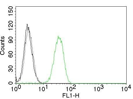 Flow Cytometry of human CD31 on Jurkat cells. Black: cells alone; Grey: Isotype Control; Green: CF488-labeled CD31/PECAM-1 Antibody (C31.7) - IHC-Prediluted.