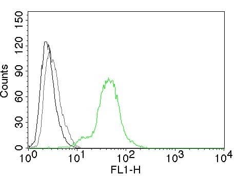 Flow Cytometry of human ER beta on BT474 cells. Black: cells alone; Grey: Isotype Control; Green: CF488-labeled ER beta/NR3A2 Antibody (ERb455) - IHC-Prediluted.