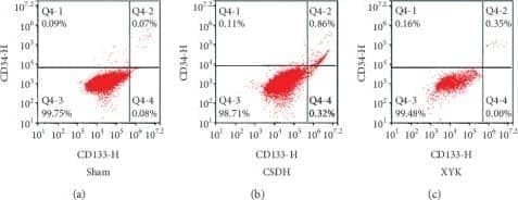 Flow Cytometry: CD34 Antibody (HPCA1/1171) [NBP2-44569] - Percent of EPCs (CD133 + CD34 +) reduced in the XYK group detected by flow cytometry. Data are mean +/- SD analyzed by one-way analysis of variance. **P < 0.01. CSDH, chronic subdural hematoma; EPC, endothelial progenitor cell; XYK, Xiaoyukang Jiaonang. PE conjugated CD34 antibody used (NBP2-47911PE). Image collected and cropped by CiteAb from the following publication (//pubmed.ncbi.nlm.nih.gov/32328124/), licensed under a CC-BY license.