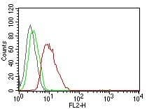 Flow cytometric analysis of human Cyclin D1 on MCF-7 cells. Black: cells alone; Green: Isotype Control; Red: PE-labeled Cyclin D1 Antibody (SPM587) - IHC-Prediluted.