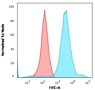 Flow Cytometric Analysis of HEK293 cells using NF-H Antibody (NF421) - IHC-Prediluted followed by goat anti-Mouse IgG-CF488 (Blue); Isotype control (Red).