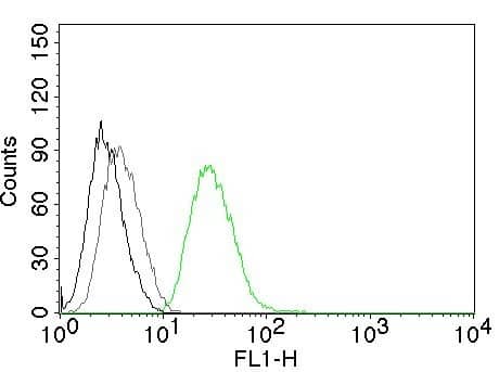 Flow cytometric analysis of human ODC1 on PC3 cells. Black: cells alone; Grey: Isotype Control; Green: CF488-labeled Ornithine Decarboxylase Antibody (ODC1/485) - IHC-Prediluted.
