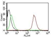 Flow cytometric analysis of human CD63 on MCF-7 cells. Black: cells alone; Green: isotype control; Red: PE-labeled CD63 Antibody (SPM524) - IHC-Prediluted.