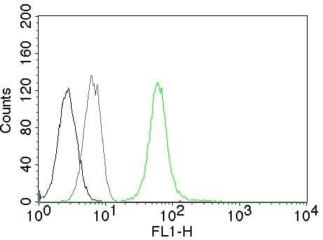 Flow Cytometry of human Vimentin on Jurkat cells. Black: cells alone; Grey: Isotype Control; Green: CF488-labeled Vimentin Antibody (VM452) - IHC-Prediluted.
