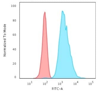 Flow Cytometric Analysis of HeLa cells using Cytokeratin 8 Antibody (H1) - IHC-Prediluted followed by Goat anti-Mouse IgG-CF488 (Blue); Isotype Control (Red).